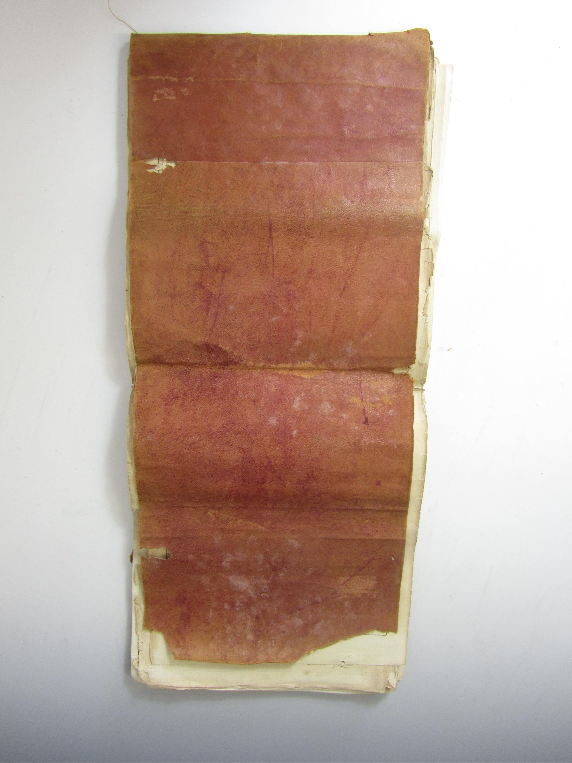 Taylor, George and Skinner, Andrew