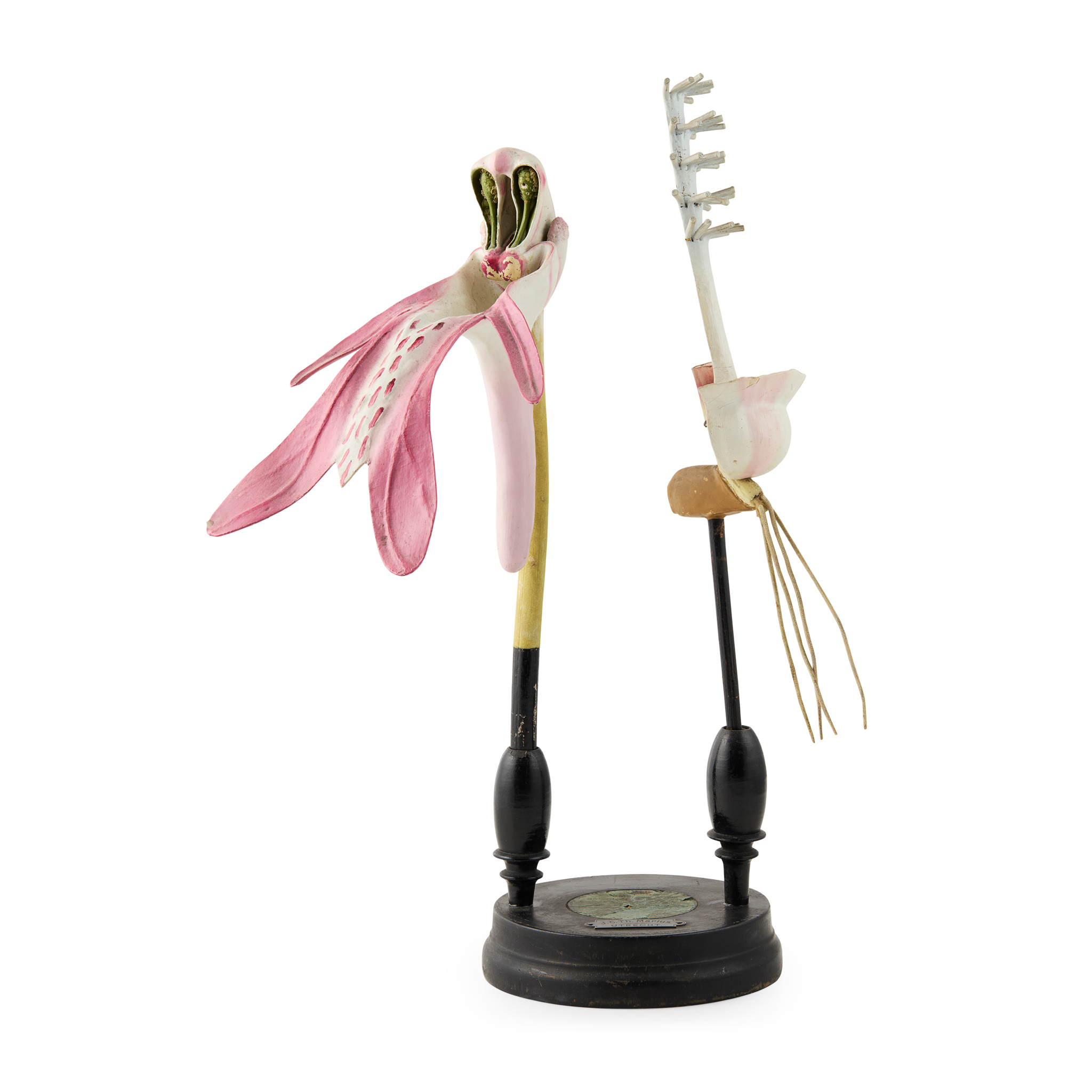 DIDACTIC BOTANICAL FLOWER MODEL, PROBABLY AN ORCHID