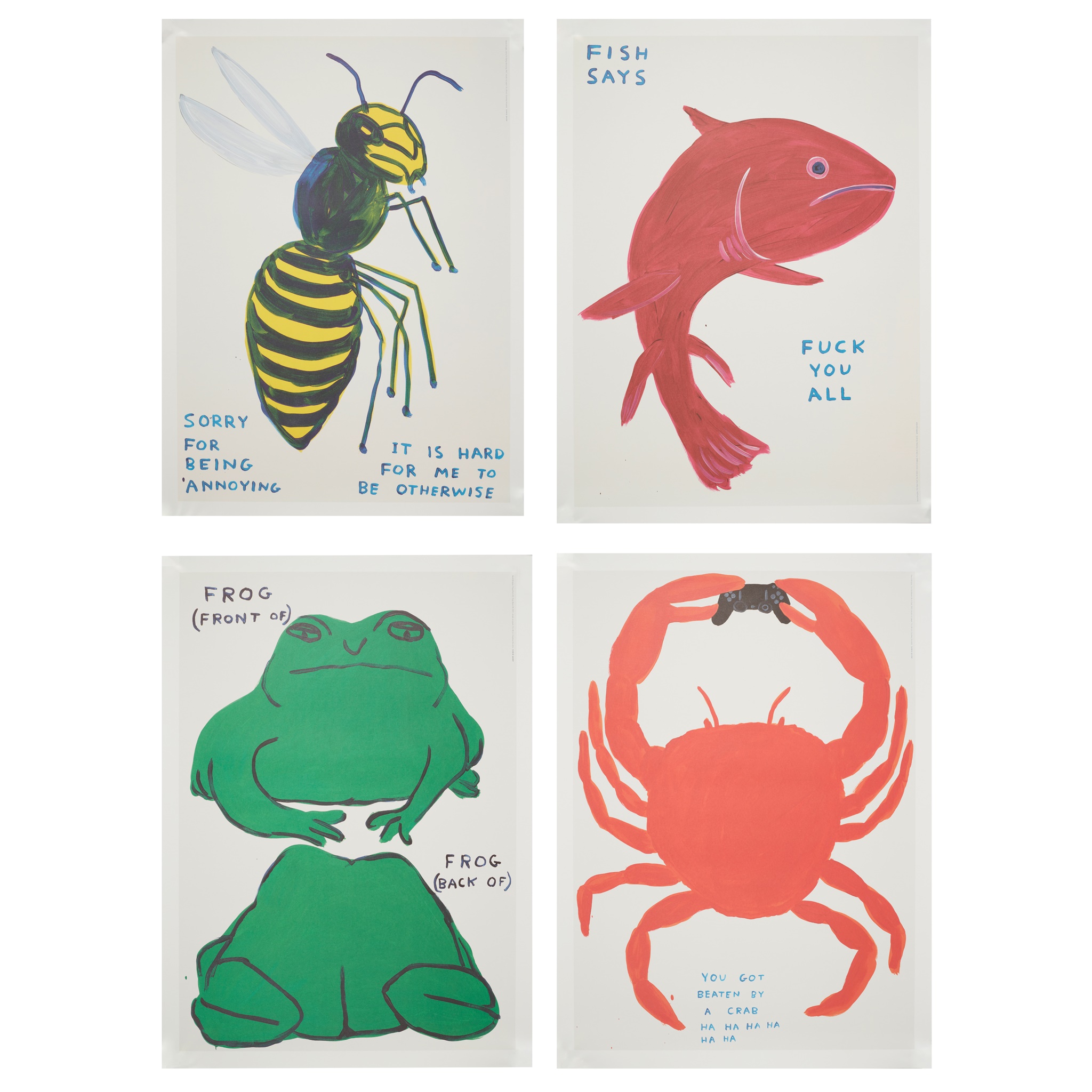 DAVID SHRIGLEY O.B.E. (BRITISH 1968-)