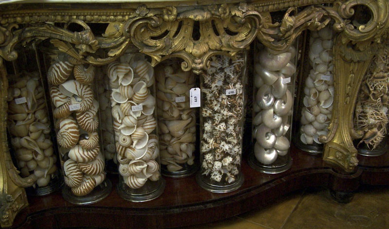 A collection of fifteen glass specimen jars and covers