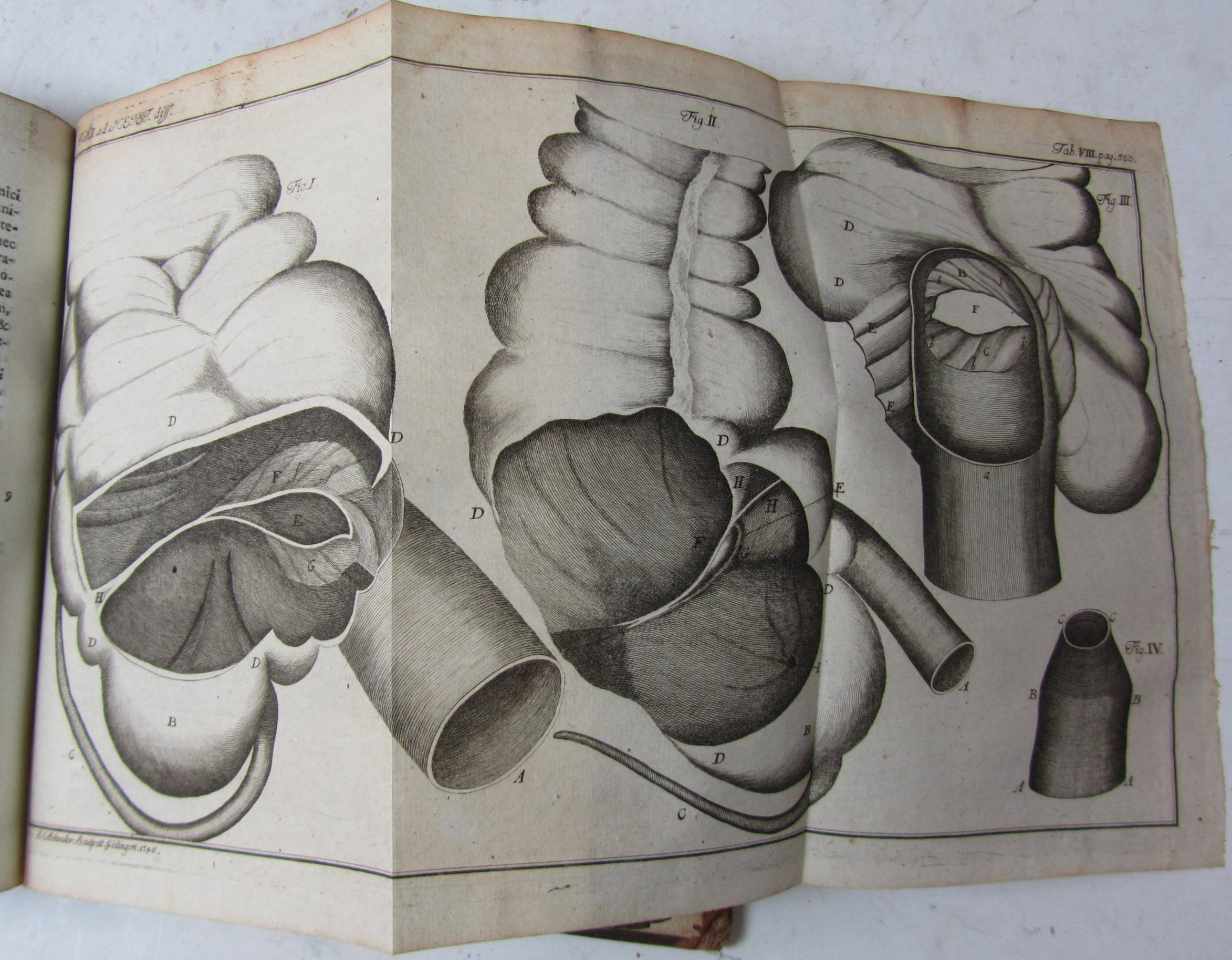 Haller, Albrecht von