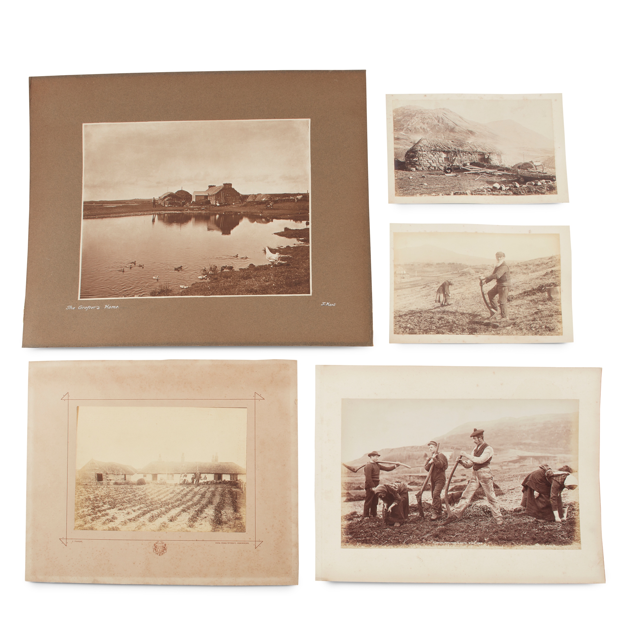 Crofts and crofting in Scotland