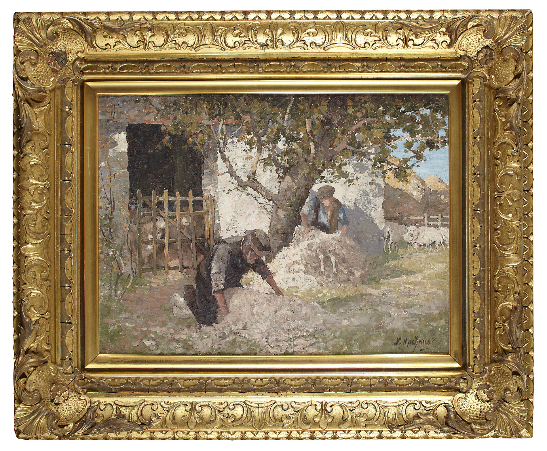 WILLIAM MCBRIDE (SCOTTISH D.1913)