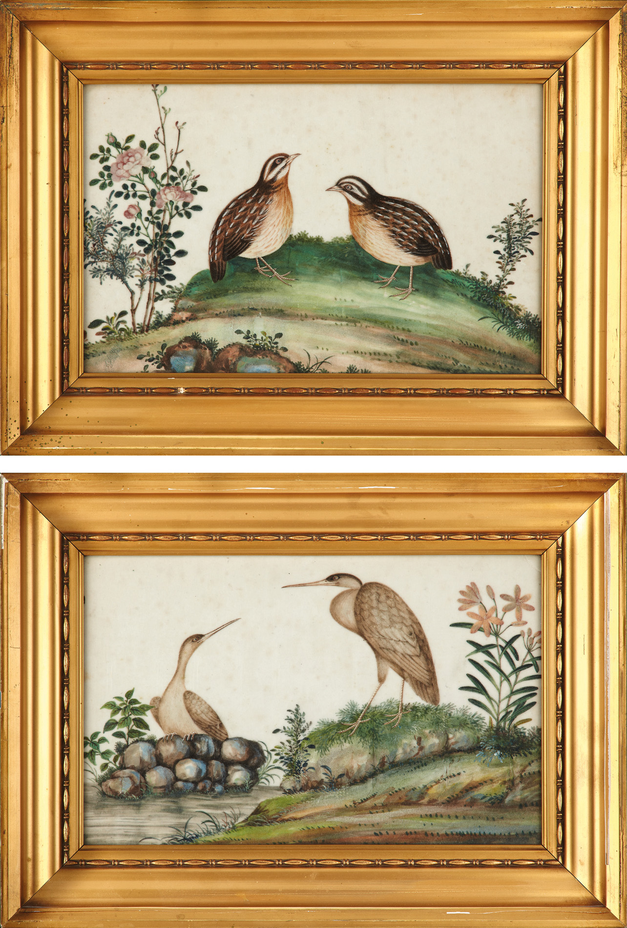 TWO CHINESE EXPORT PITH PAPER PAINTINGS OF BIRDS