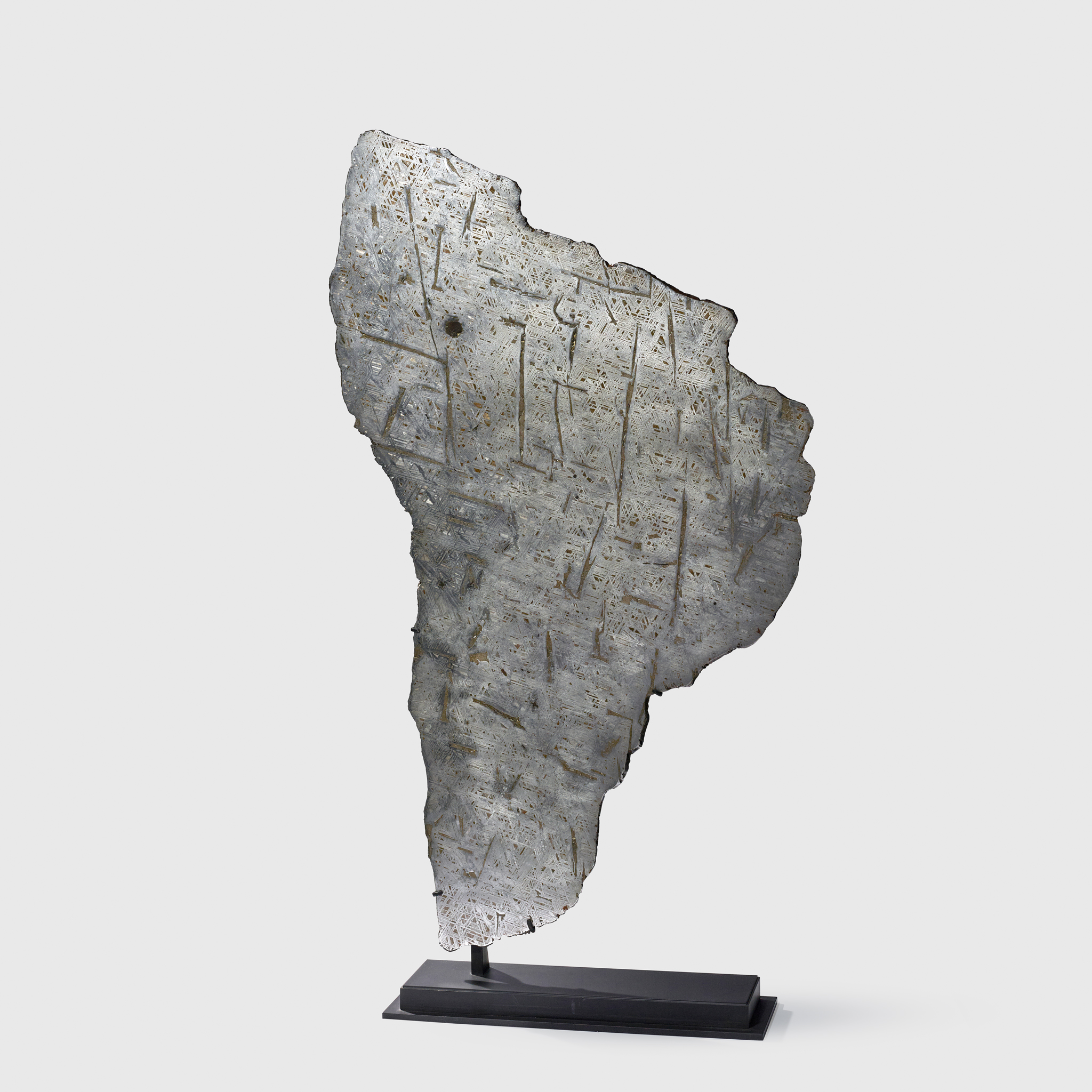 HUGE IRON METEORITE CROSS SECTION SLICE