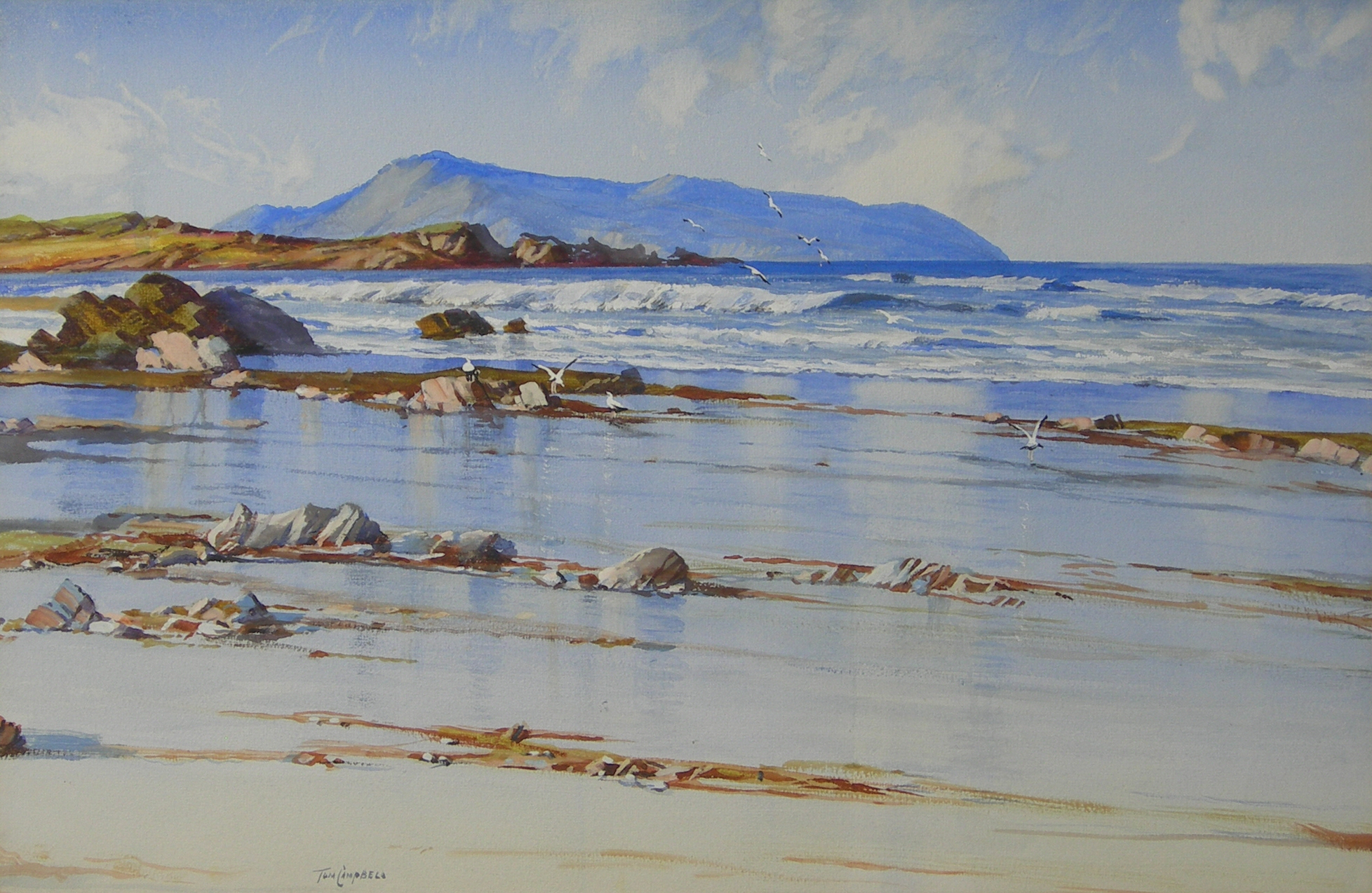 TOM CAMPBELL (SCOTTISH 1865-1943)