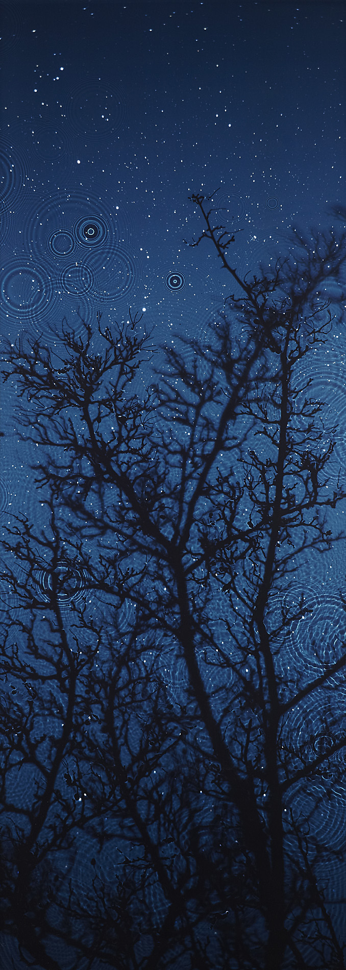 SUSAN DERGES (BRITISH B.1955)