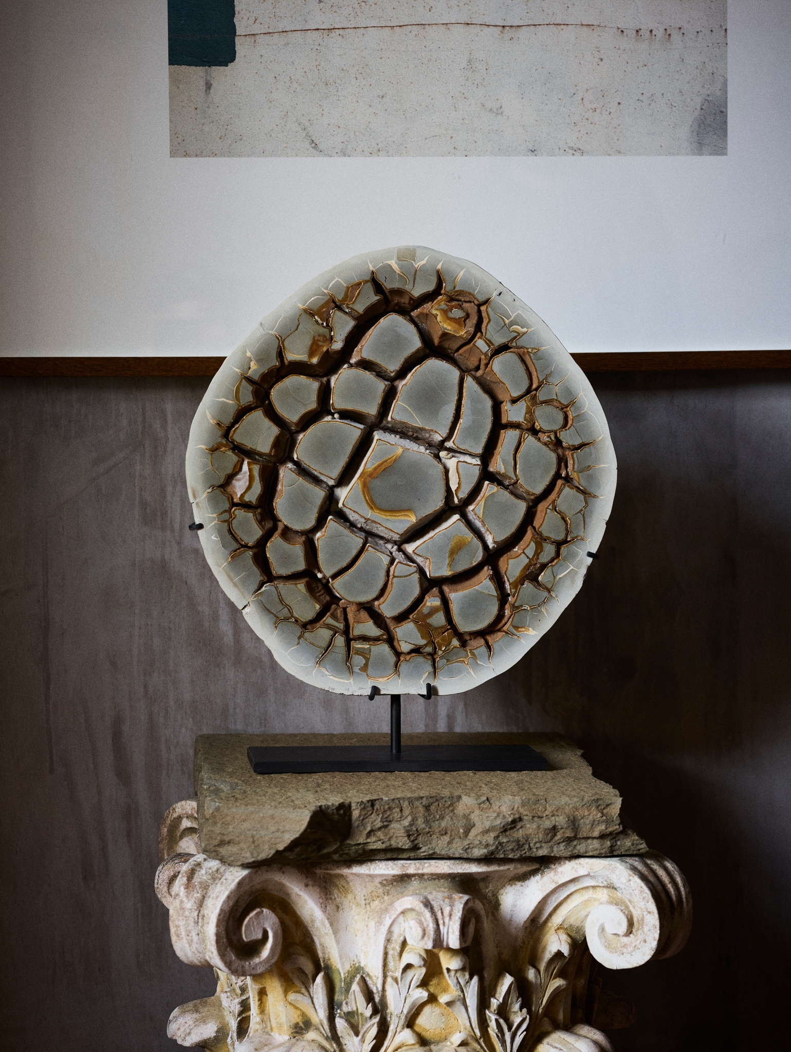 SEPTARIAN CONCRETION SECTION