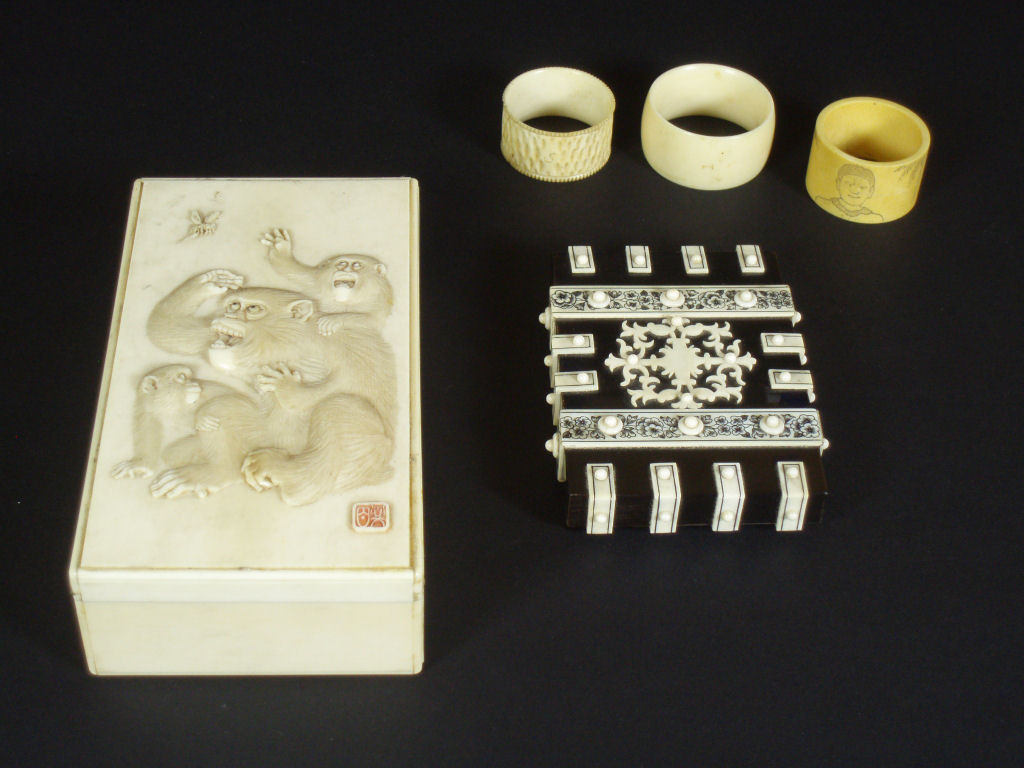 A Victorian tortoiseshell and ivory bound card case