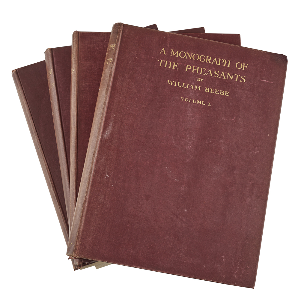 Beebe, Charles William