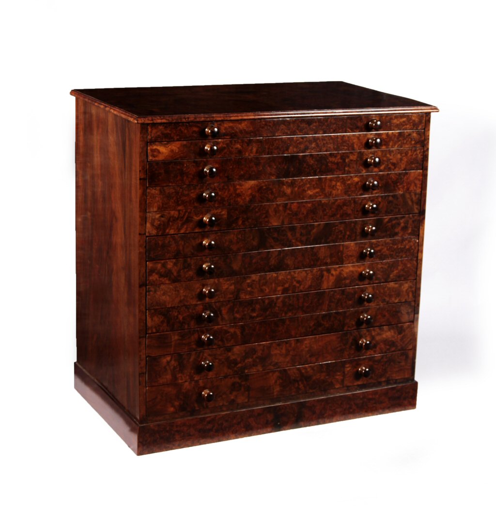 VICTORIAN BURR WALNUT COLLECTOR'S CABINET