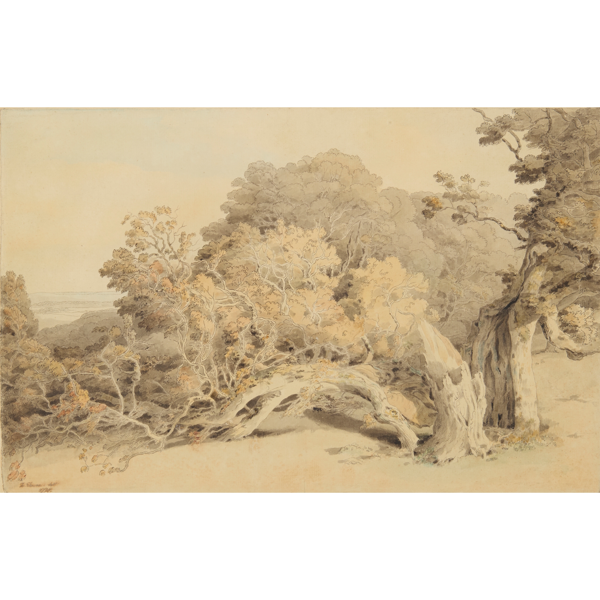 FRANCIS TOWNE (BRITISH 1739-1816)