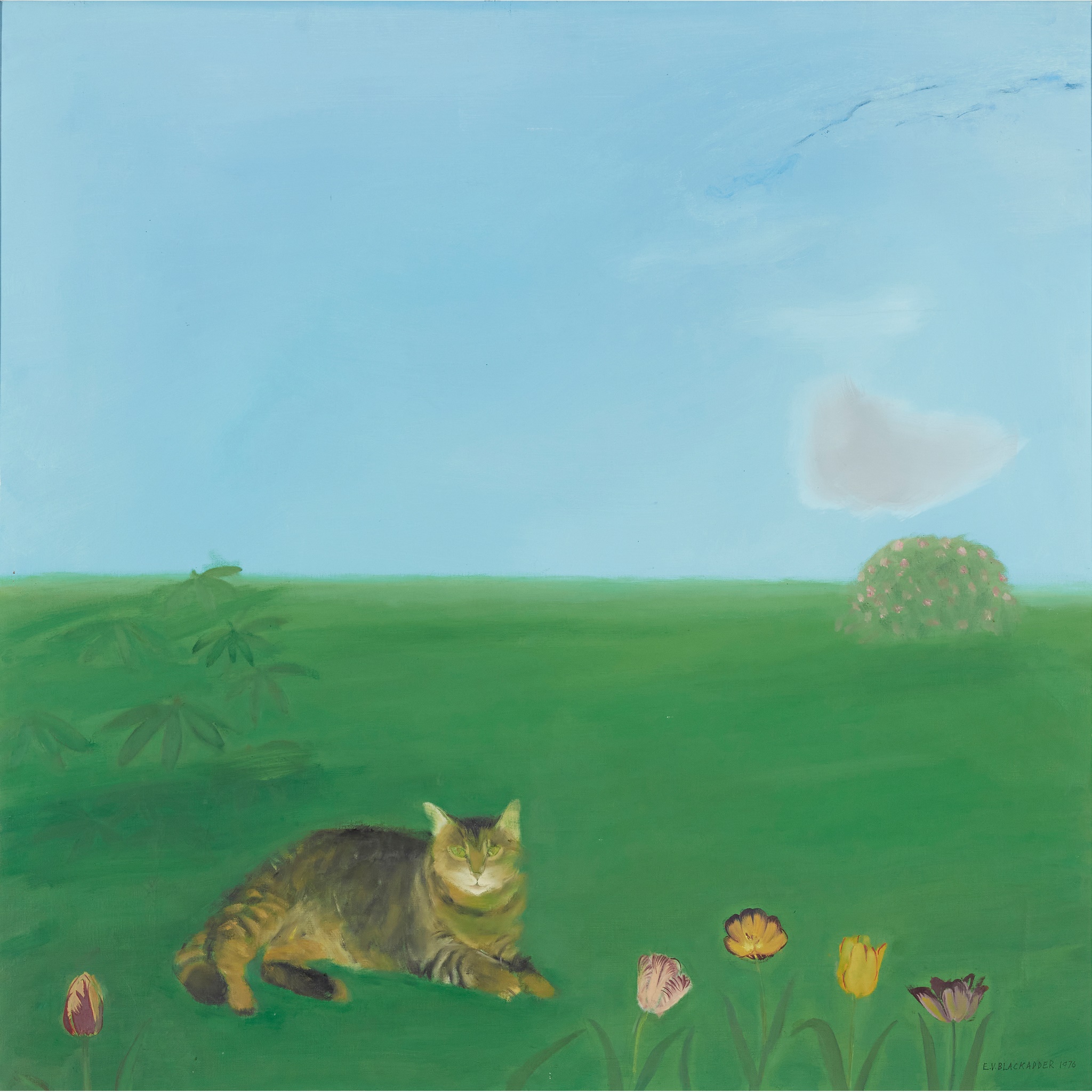 ELIZABETH BLACKADDER O.B.E., R.A., R.S.A., R.S.W., R.G.I., D.Litt (SCOTTISH 1931-)