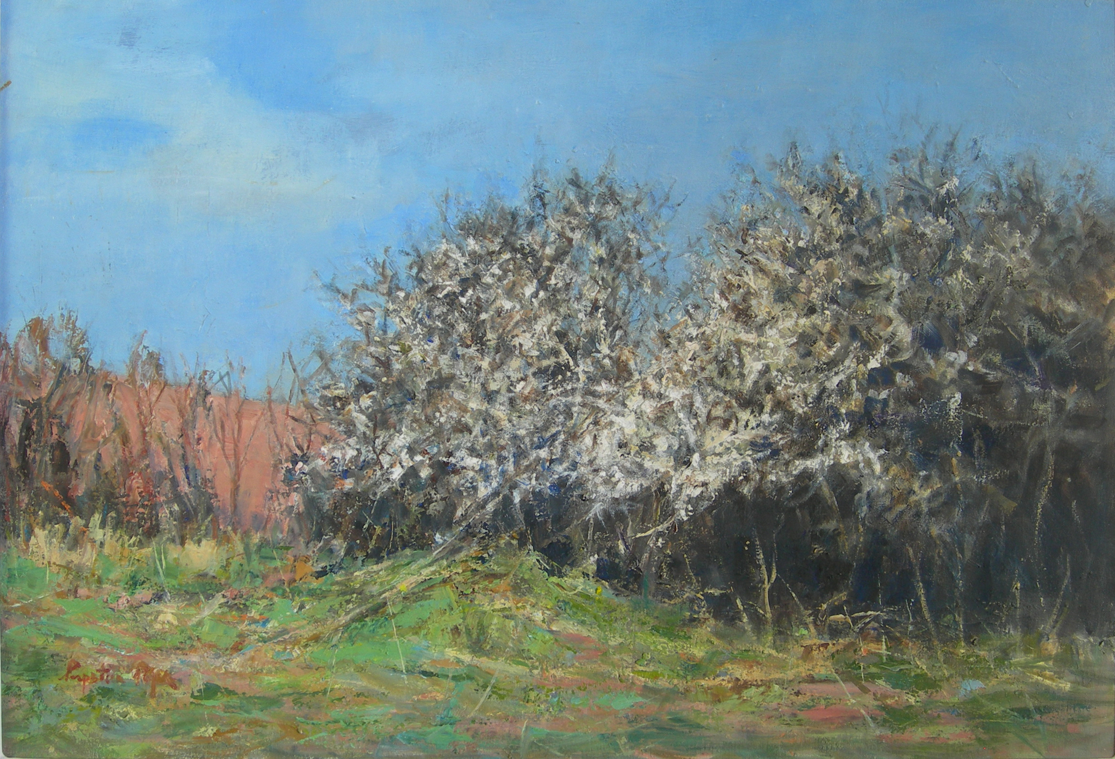 PERPETUA POPE (SCOTTISH B.1916)