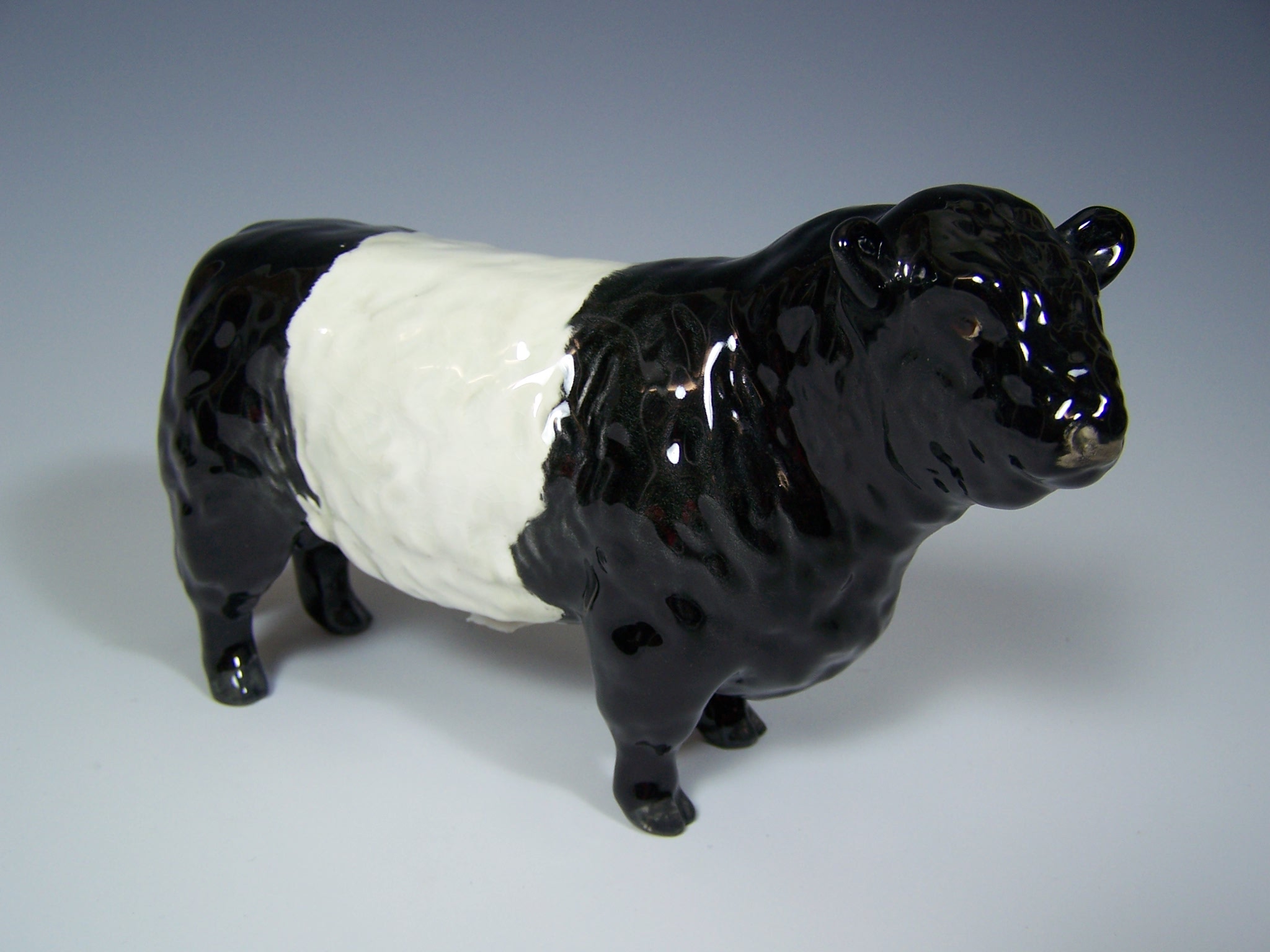 A Beswick Belted Galloway Bull