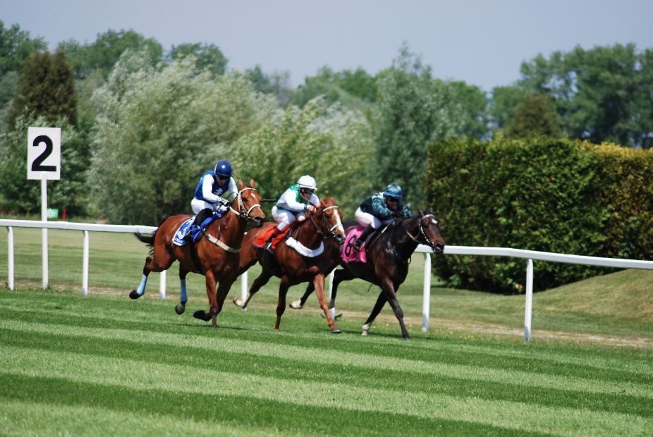 A DAY AT KELSO RACES FOR TWO