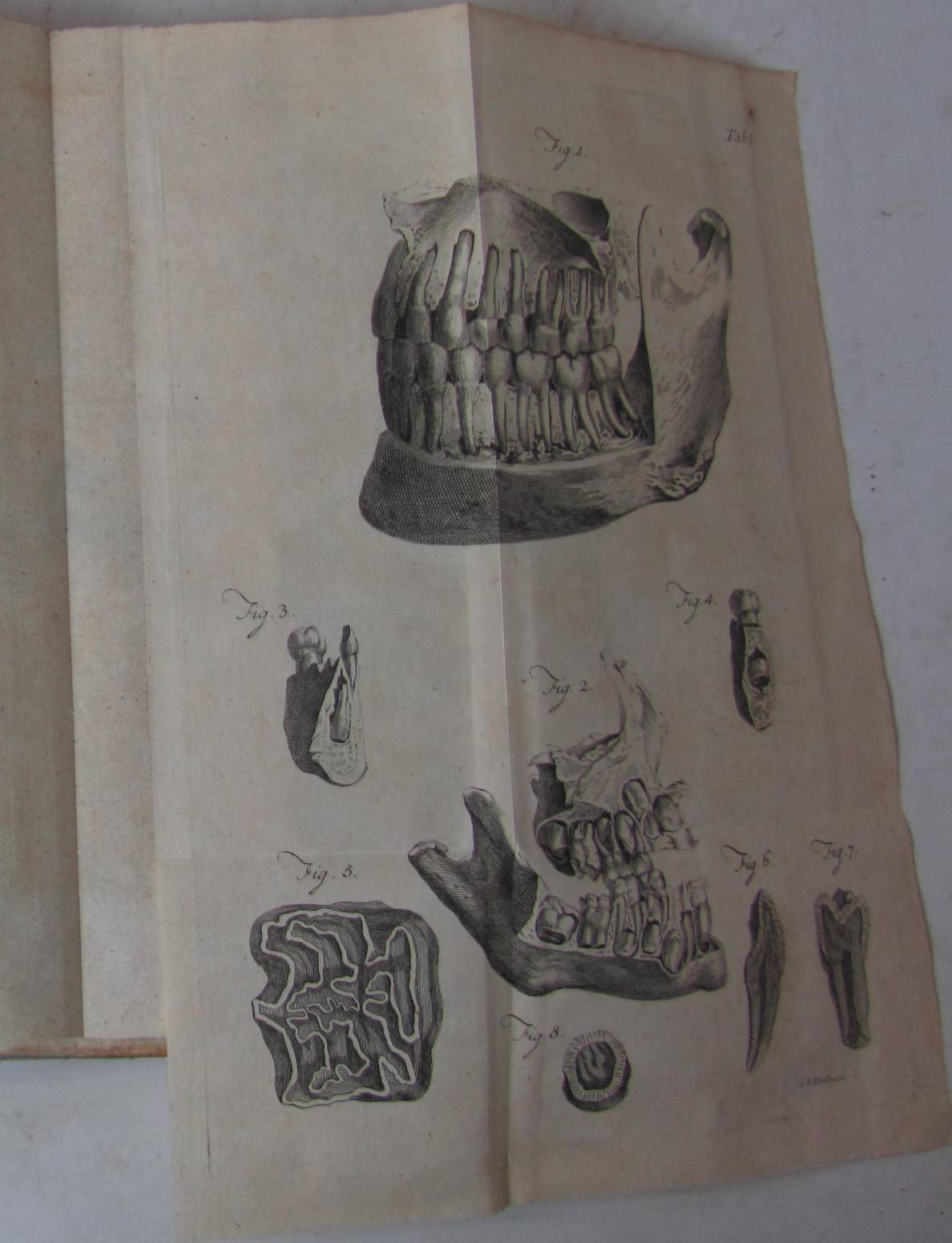 Dentistry - Hunter, John