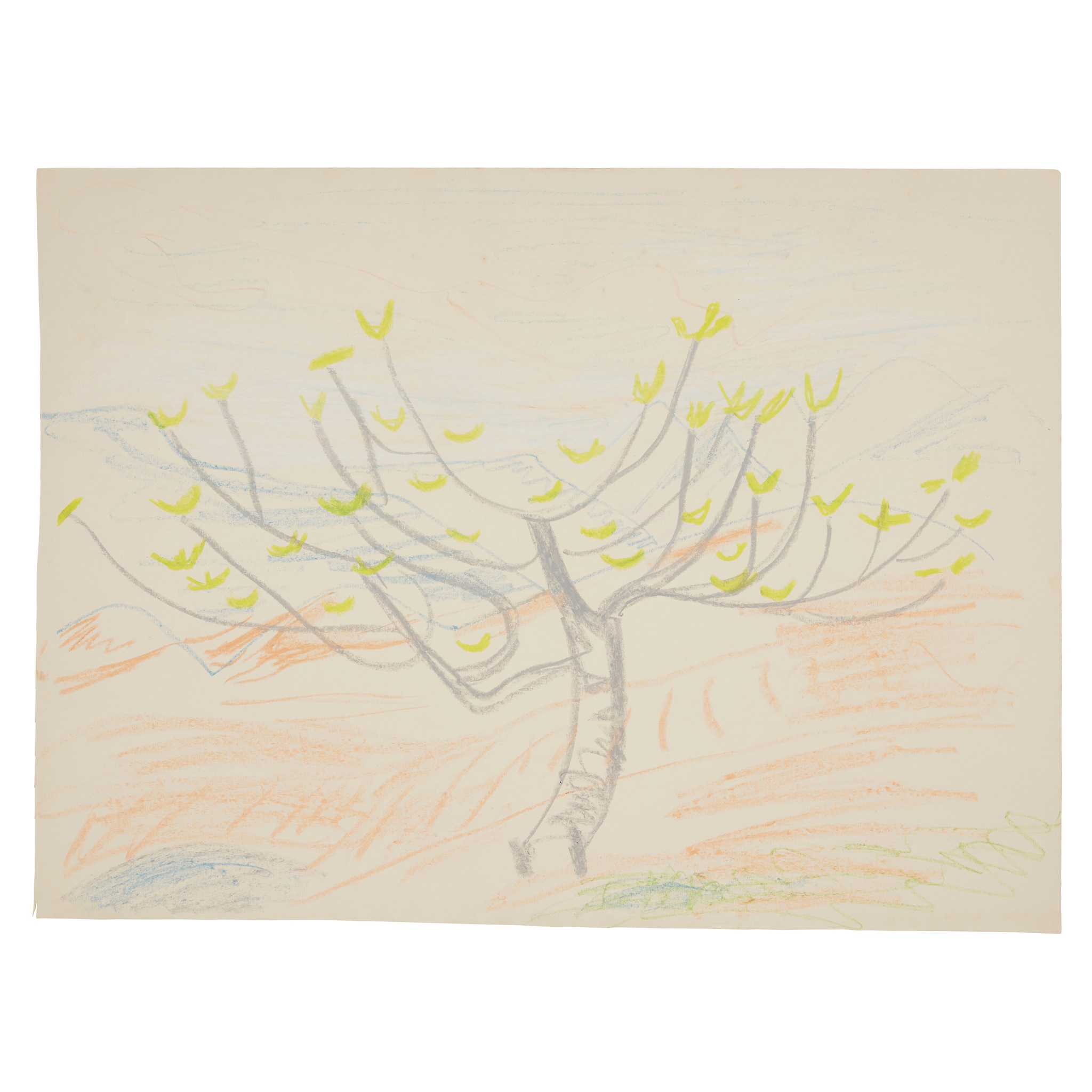 Winifred Nicholson (British 1893-1981)