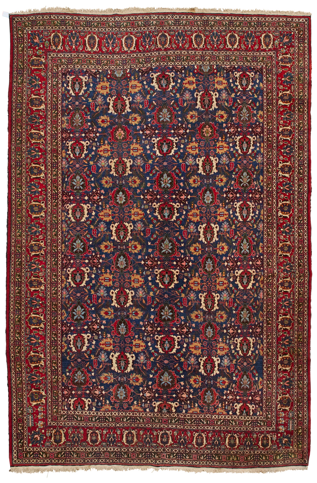 VERAMIN CARPET