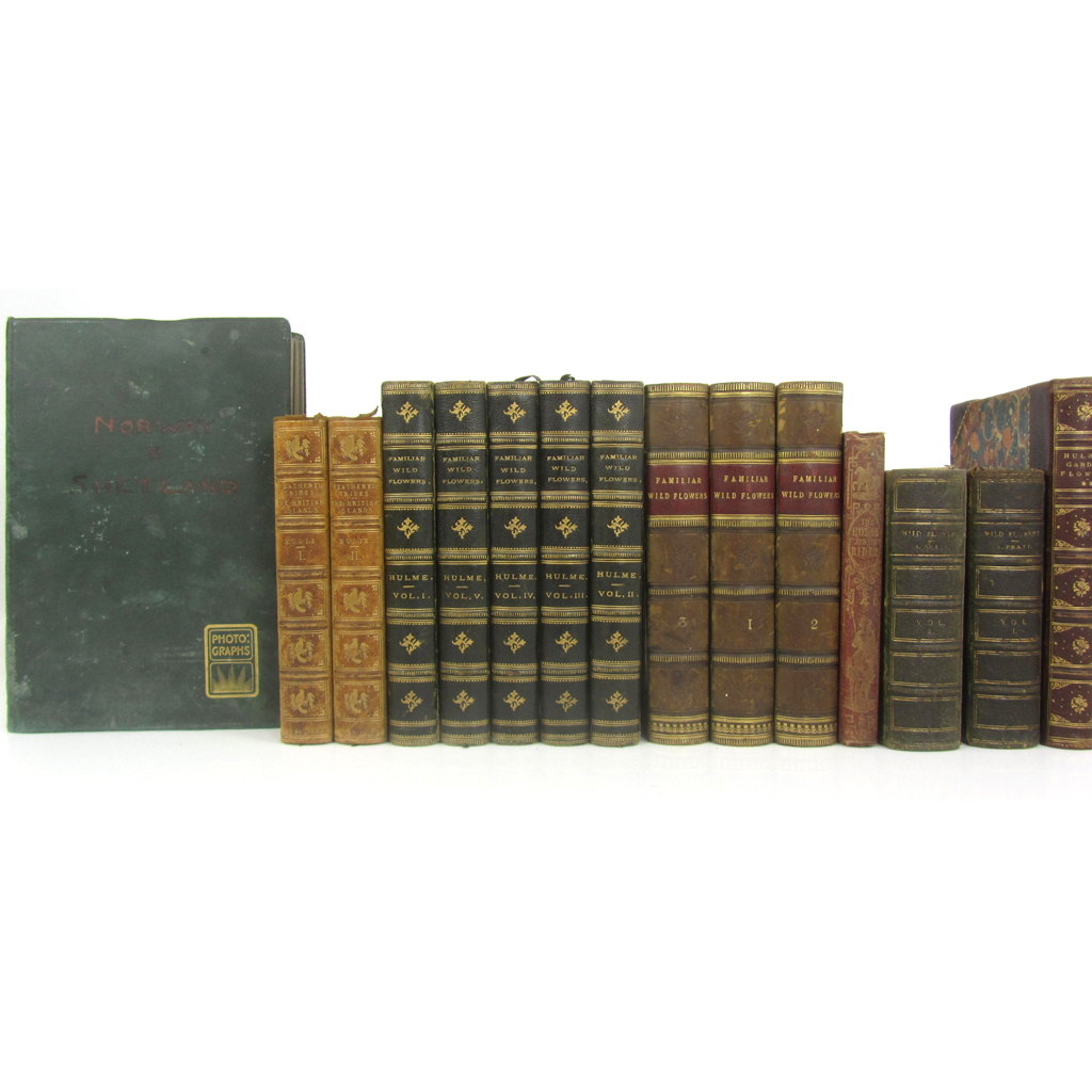 Natural History, including Mudie, Robert