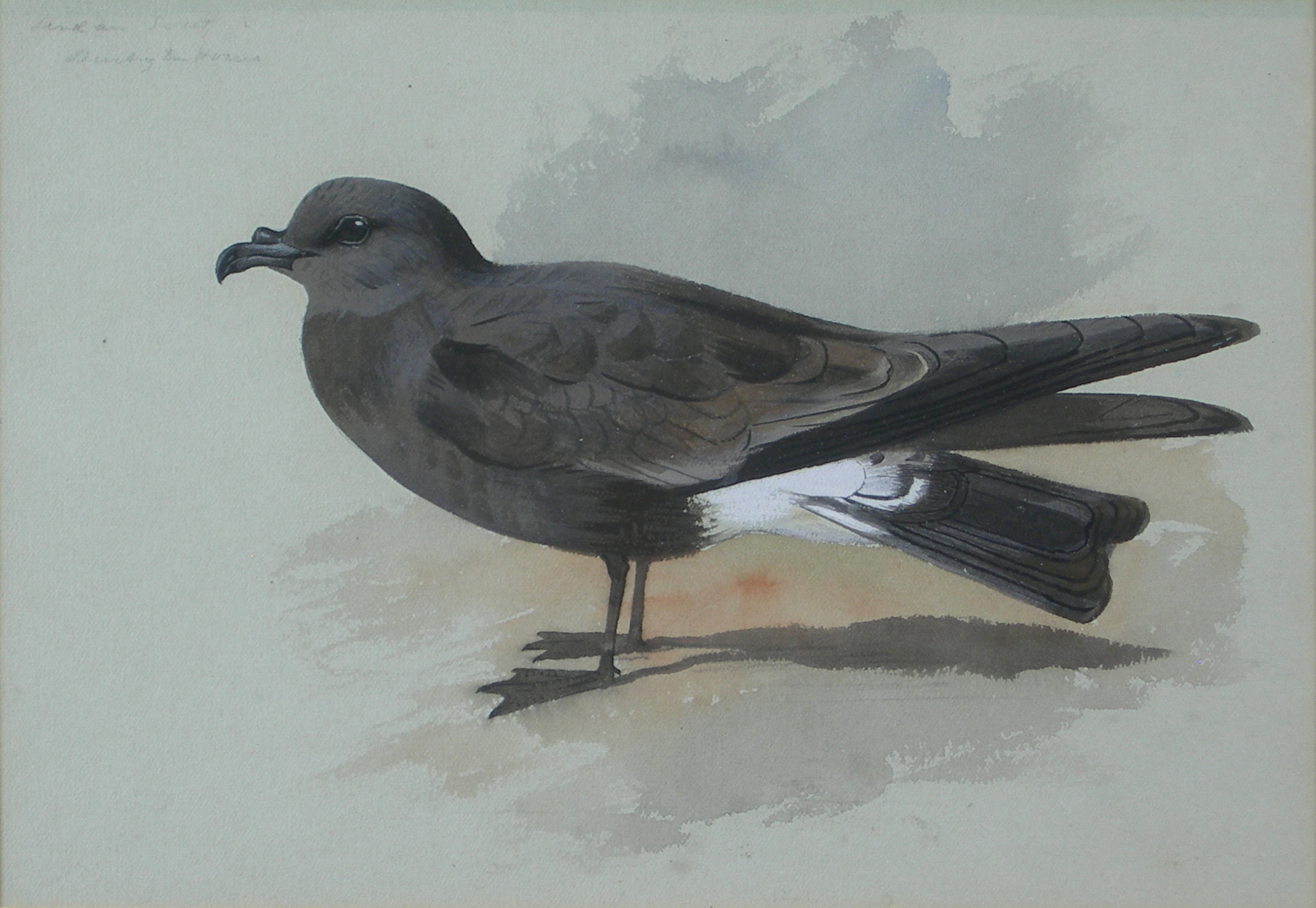 ARCHIBALD THORBURN (SCOTTISH 1860-1935)