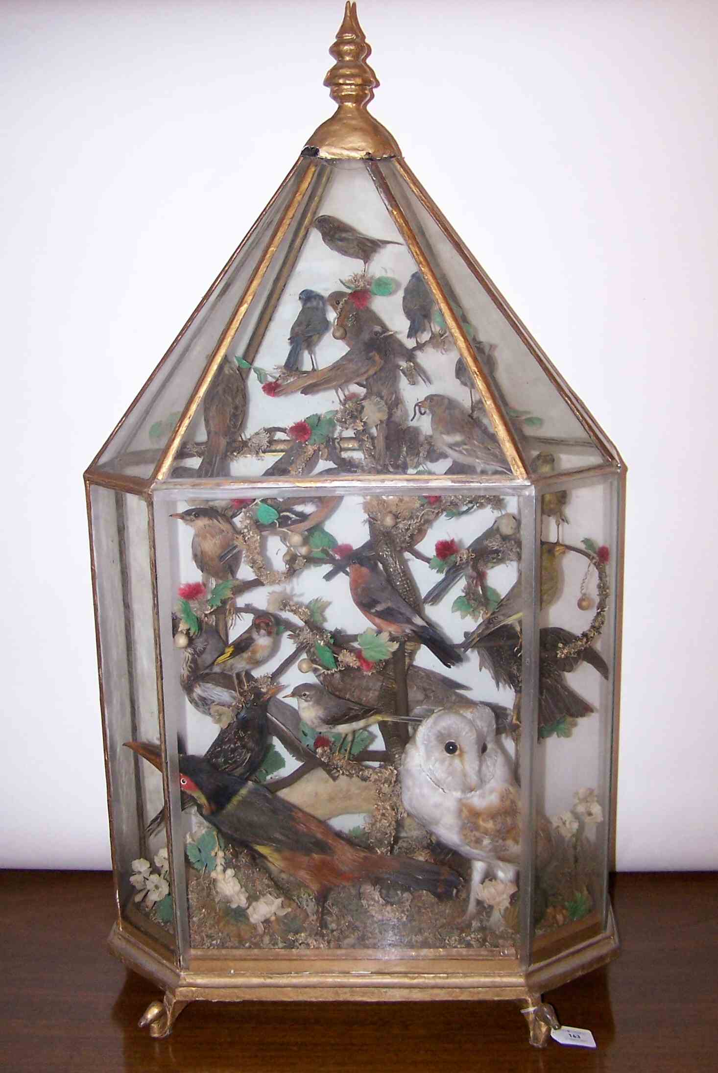 A large taxidermy display
