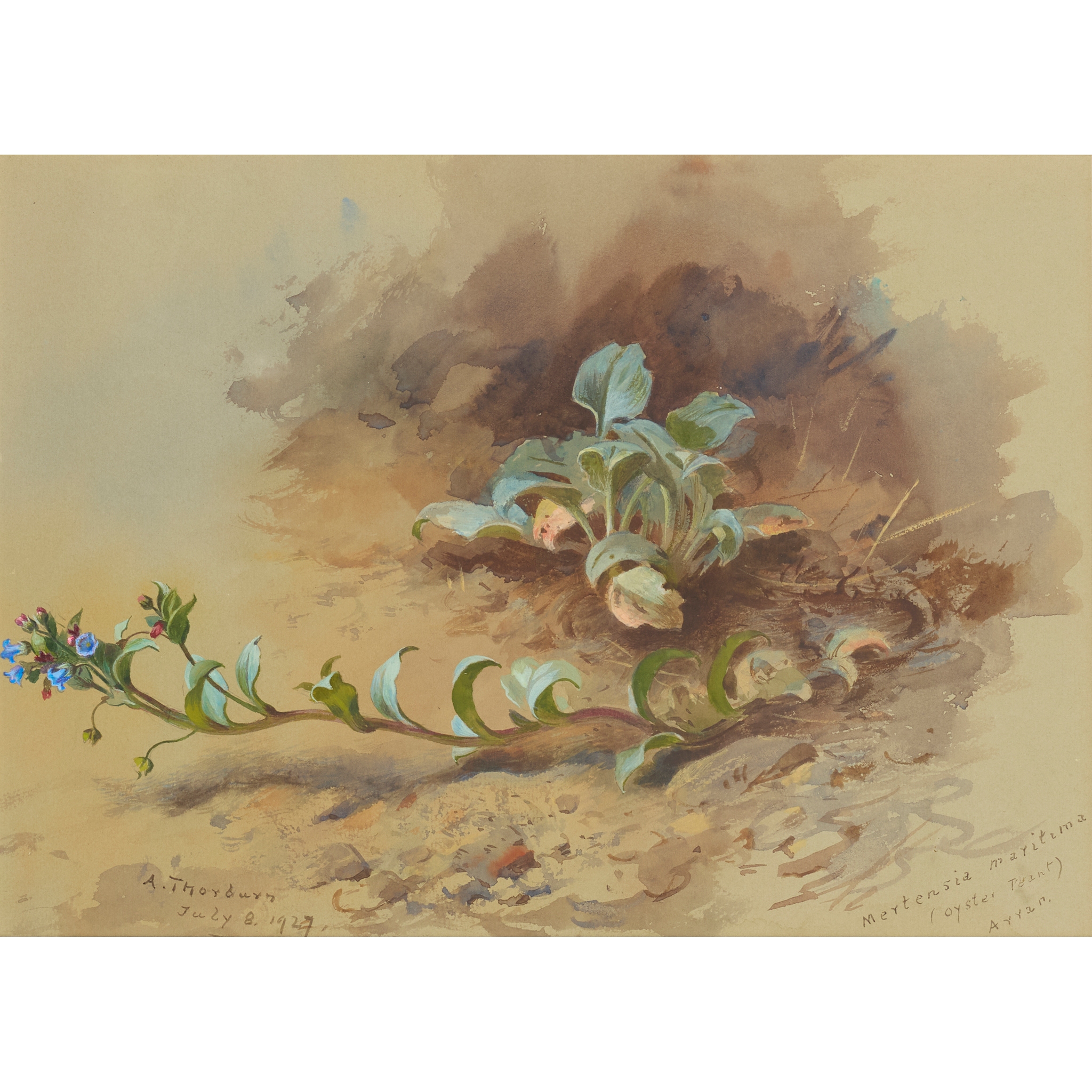 ARCHIBALD THORBURN (SCOTTISH 1860-1935)