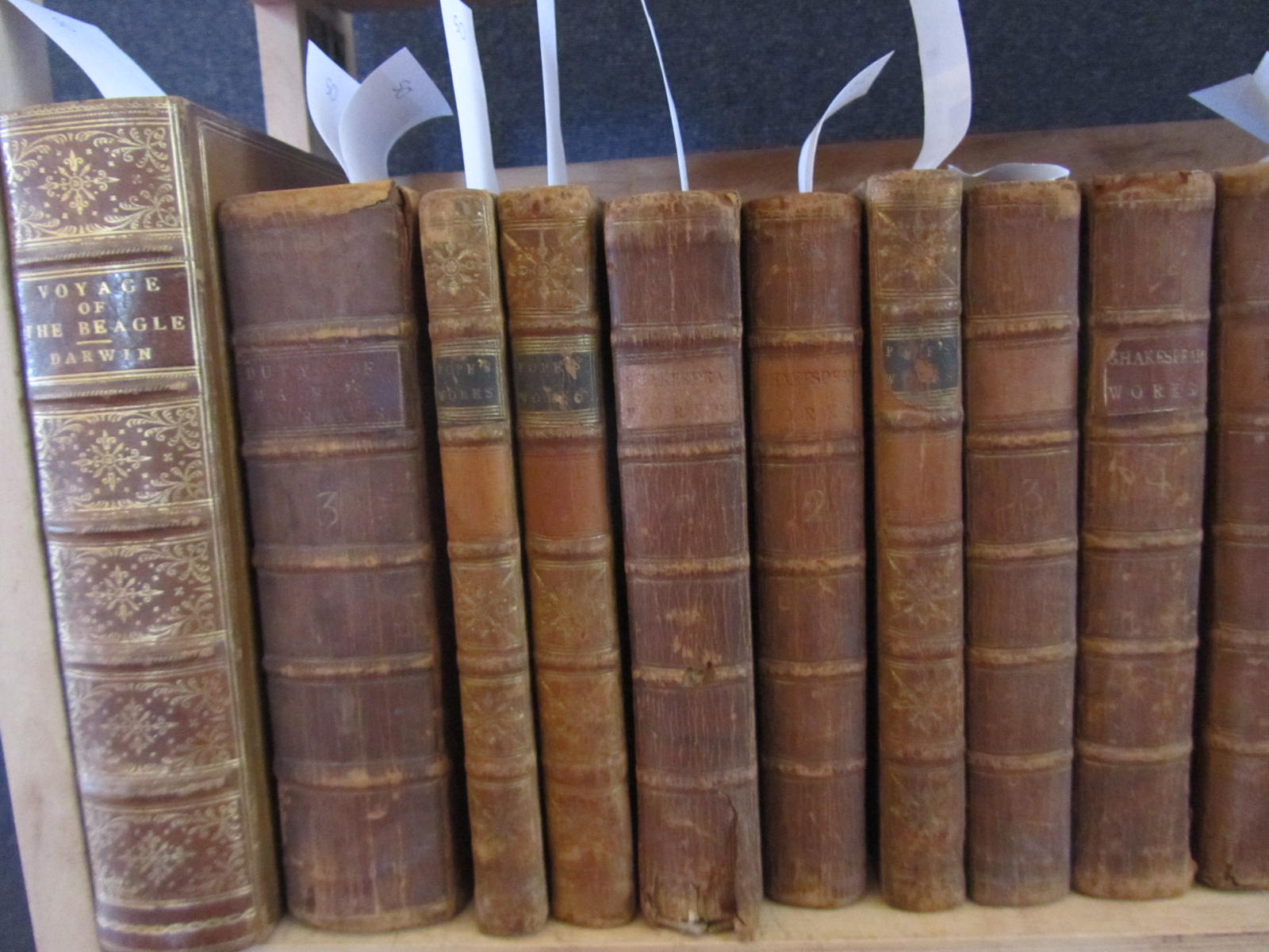 Bindings - Pope, Alexander