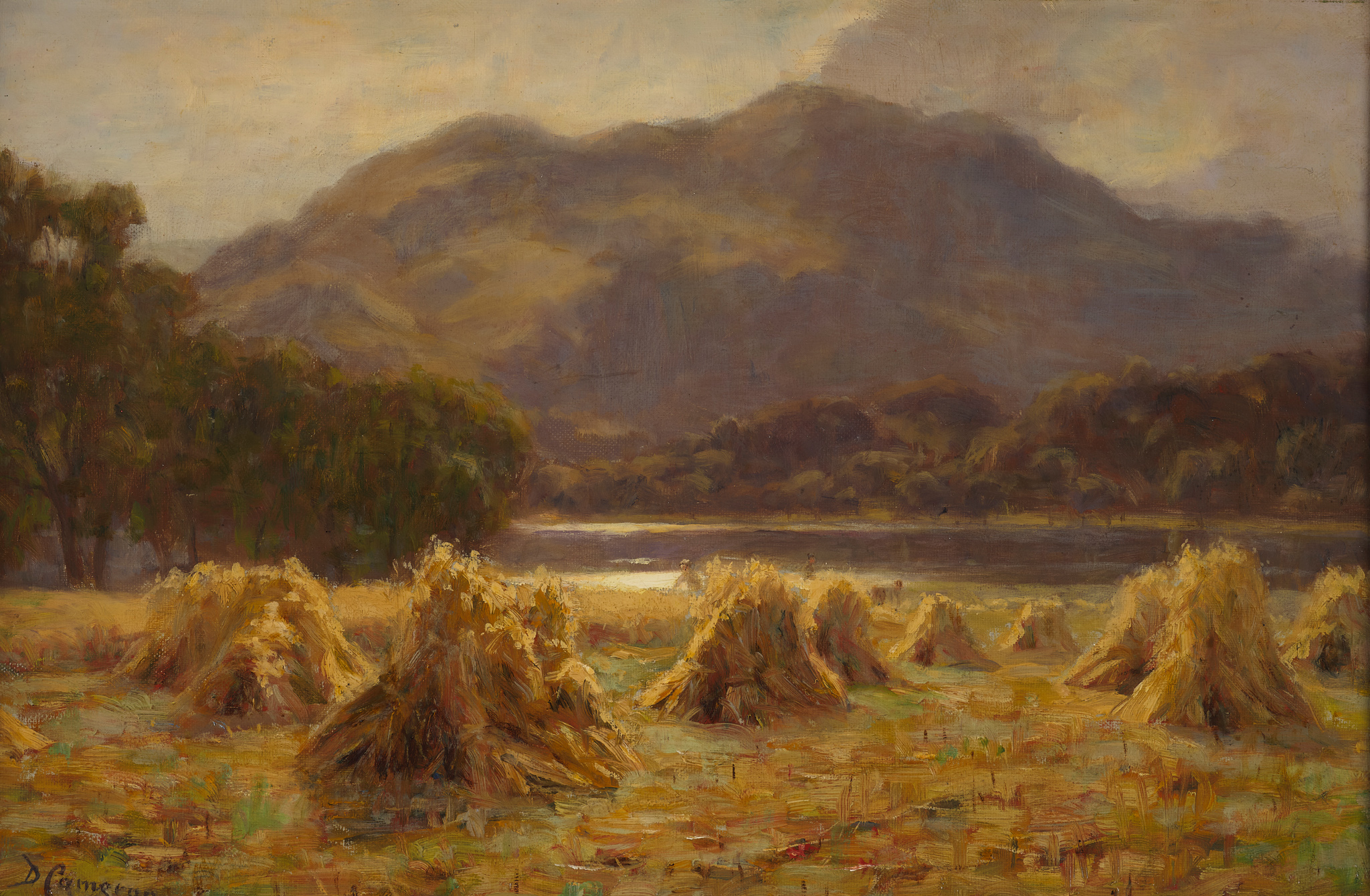 DUNCAN CAMERON (SCOTTISH 1837-1916)