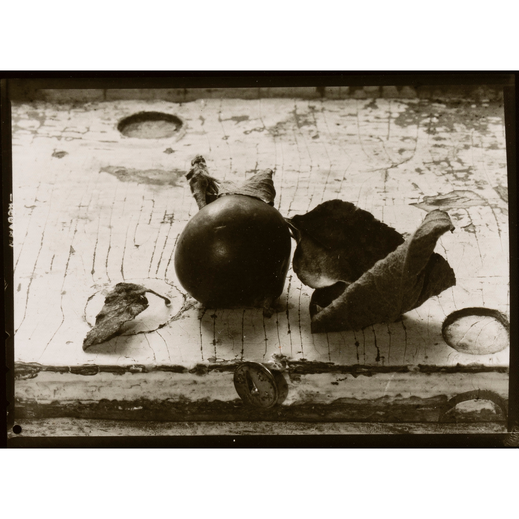 JOSEF SUDEK (CZECH 1896-1976)