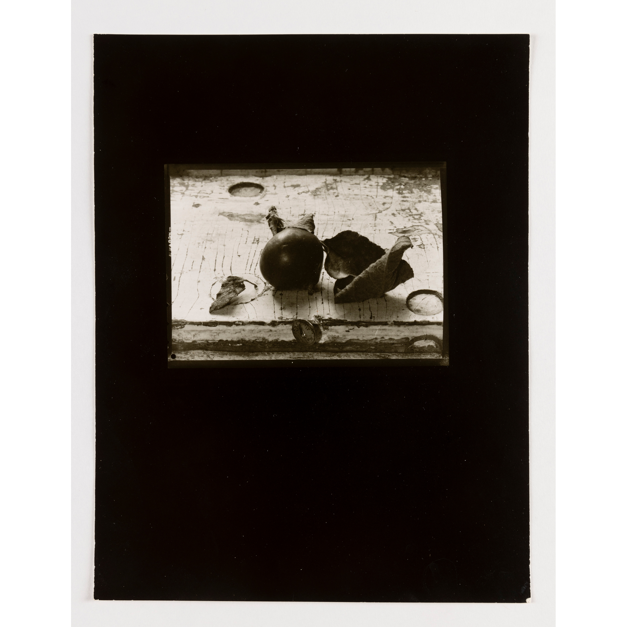 Past auction: JOSEF SUDEK (CZECH 1896-1976) PEAR STILL LIFE | 31