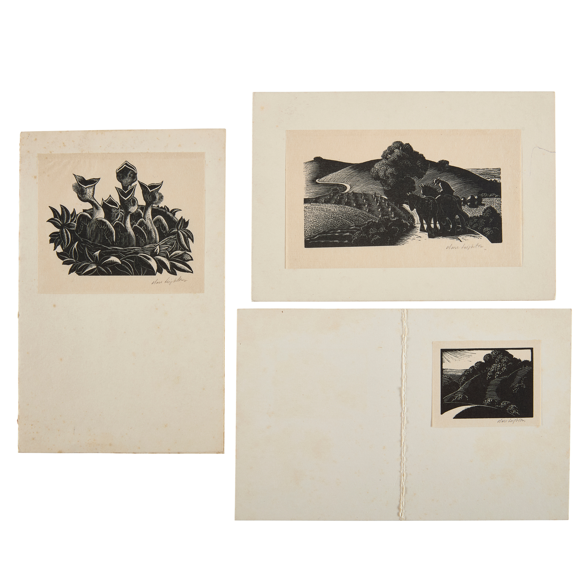 CLARE LEIGHTON (ENGLISH/AMERICAN 1898-1989)