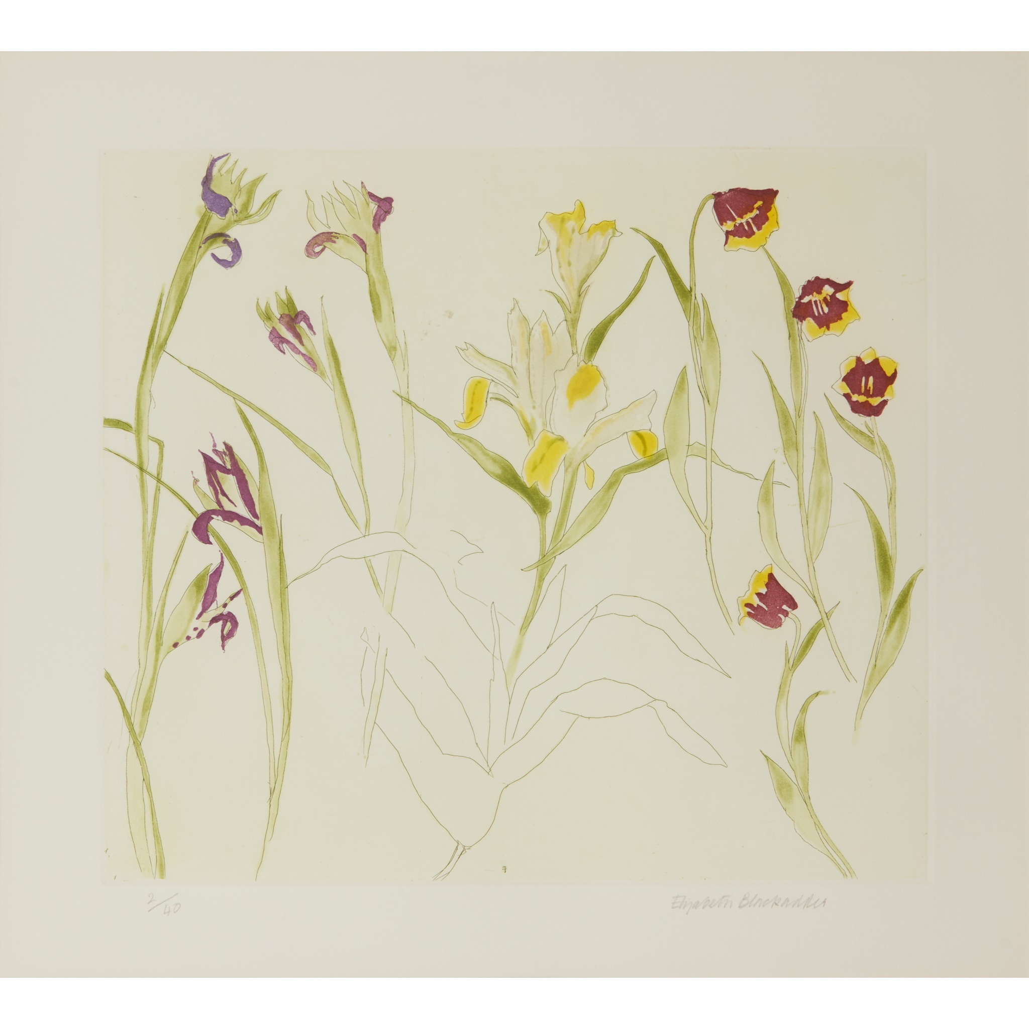 DAME ELIZABETH BLACKADDER O.B.E., R.A., R.S.A., R.S.W., R.G.I., D.Litt (SCOTTISH 1931-2021)