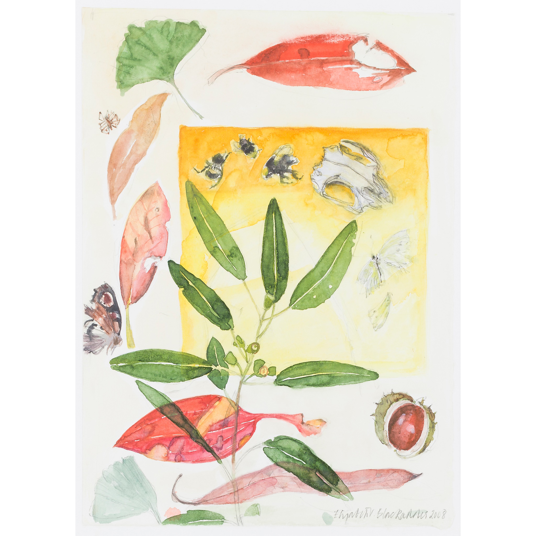 DAME ELIZABETH BLACKADDER O.B.E., R.A., R.S.A., R.S.W., R.G.I., D.Litt (SCOTTISH 1931-2021)