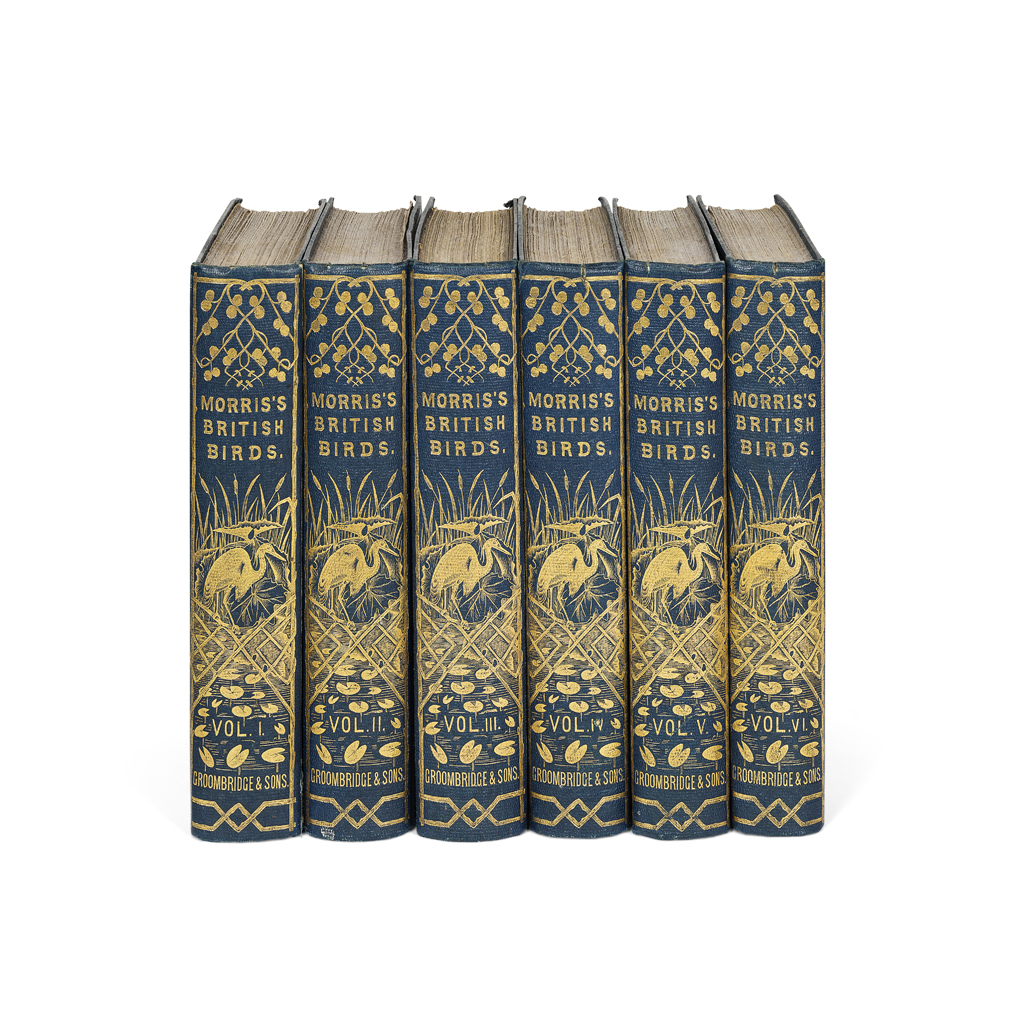 MORRIS, FRANCIS ORPEN