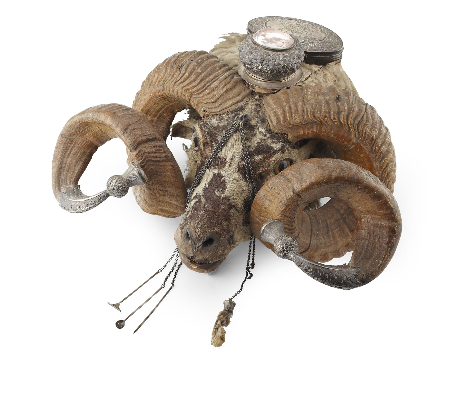 A Victorian ram's head snuff mull