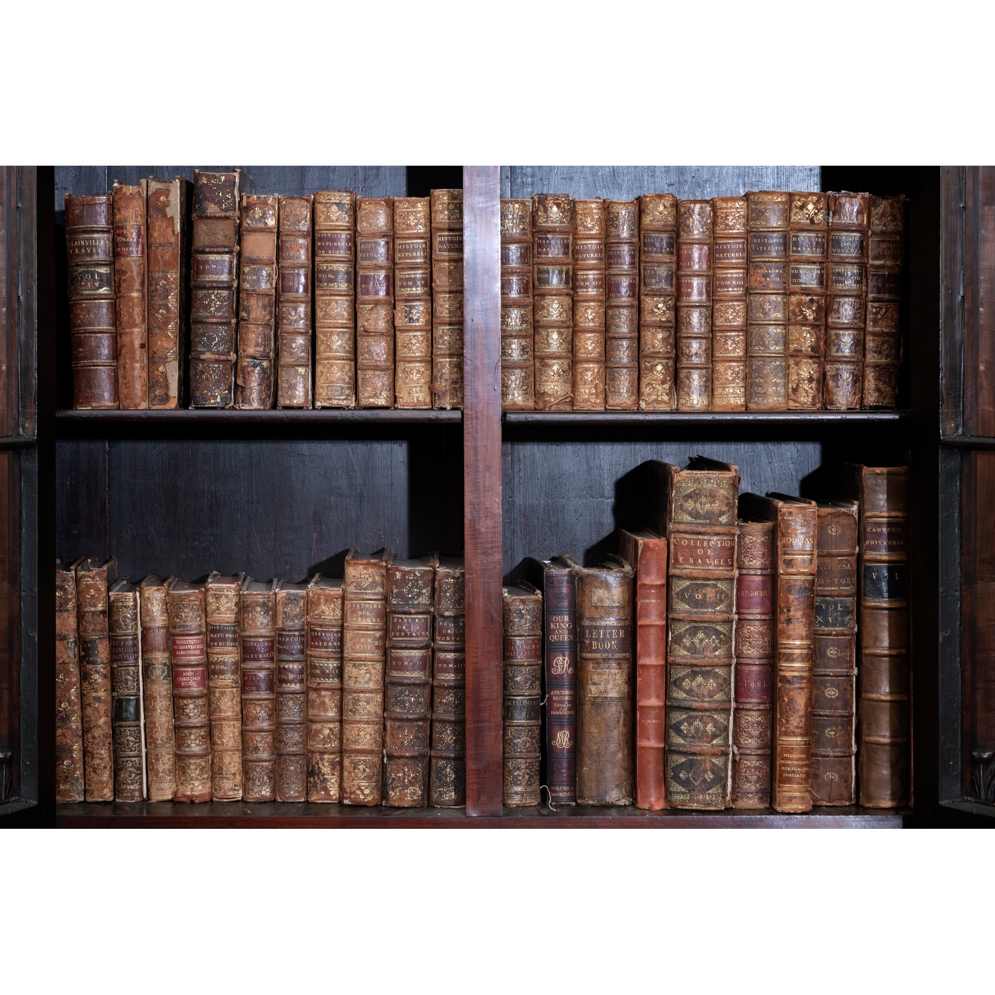 A COLLECTION OF LEATHER BINDINGS
