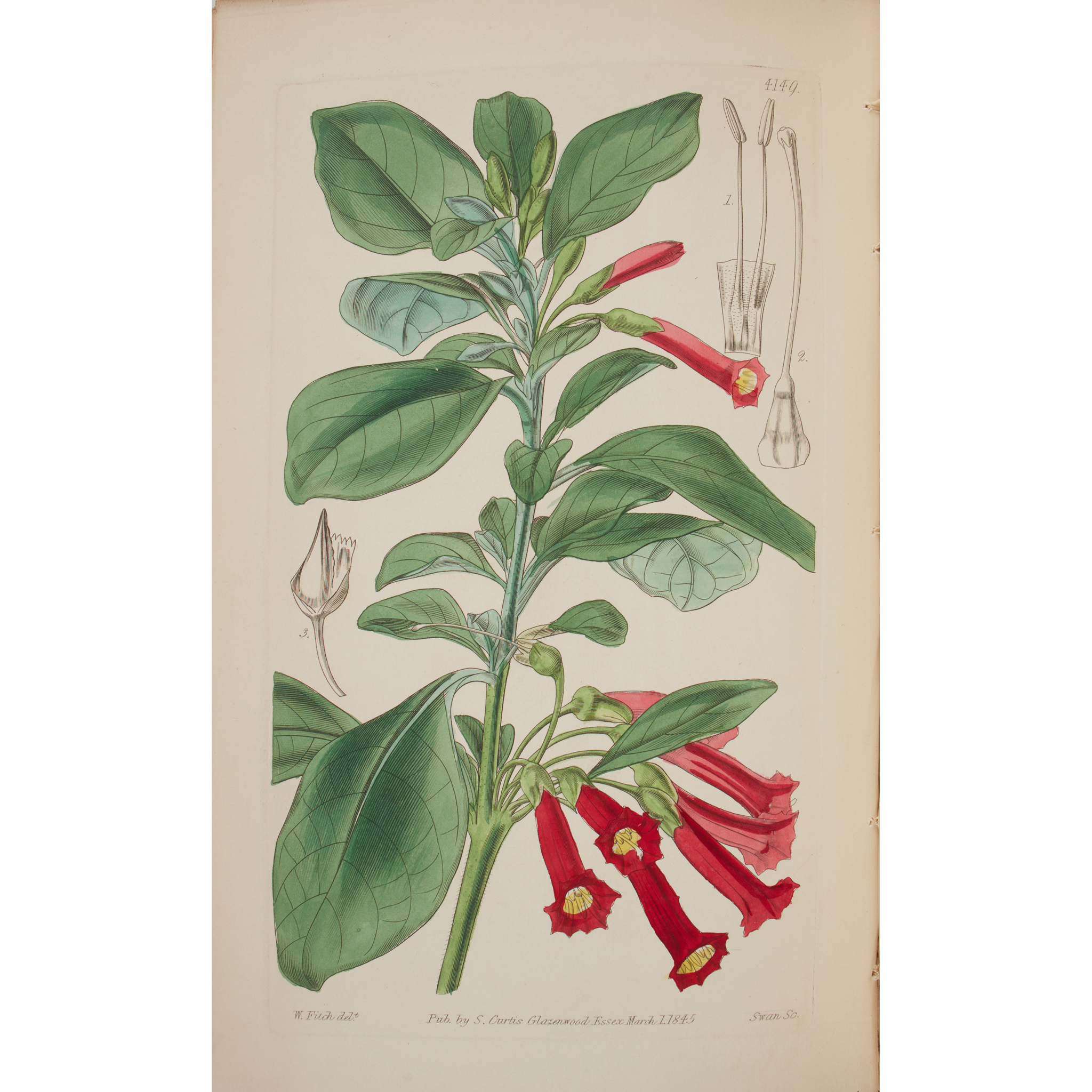 Hooker, Sir William Jackson