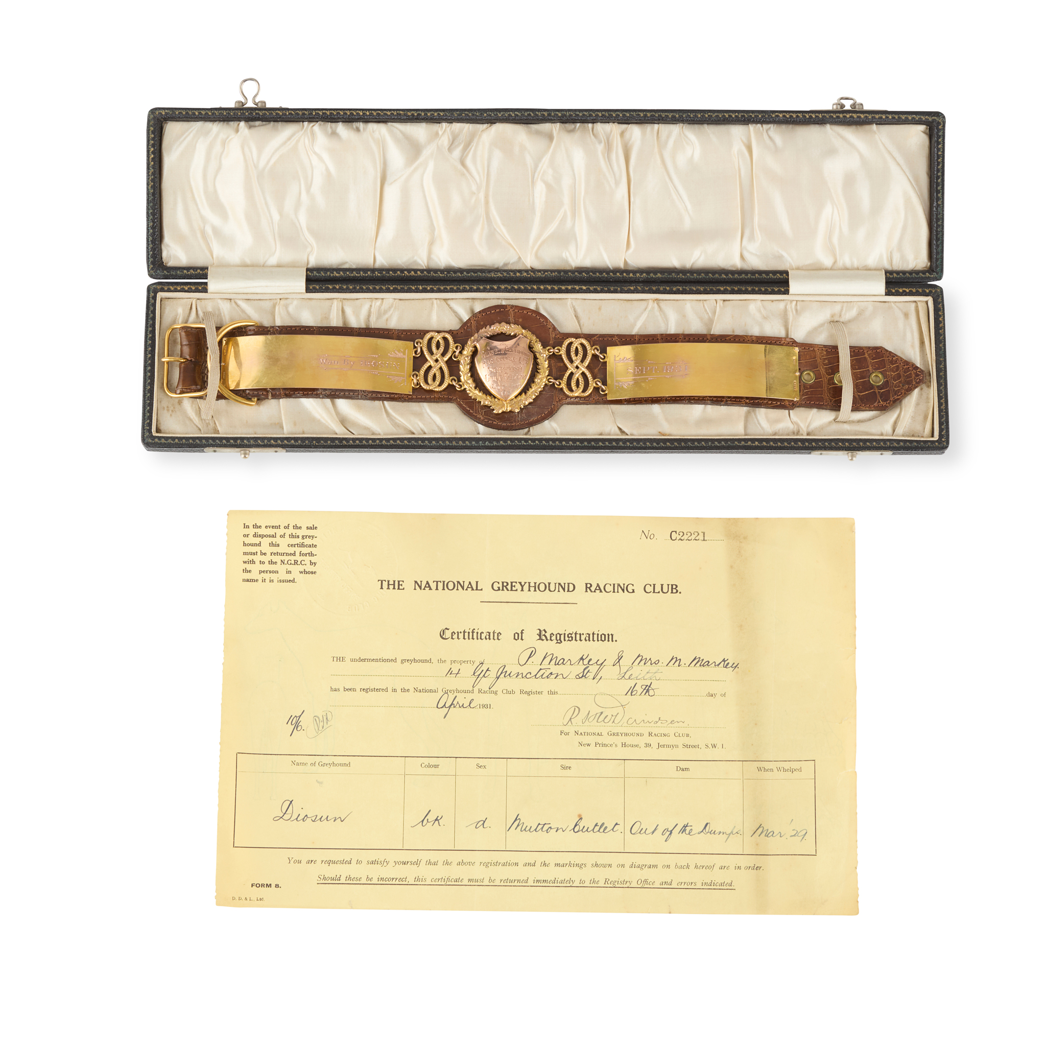 A 1930s CASED 9ct GOLD AND ALLIGATOR GREYHOUND RACING PRESENTATION COLLAR