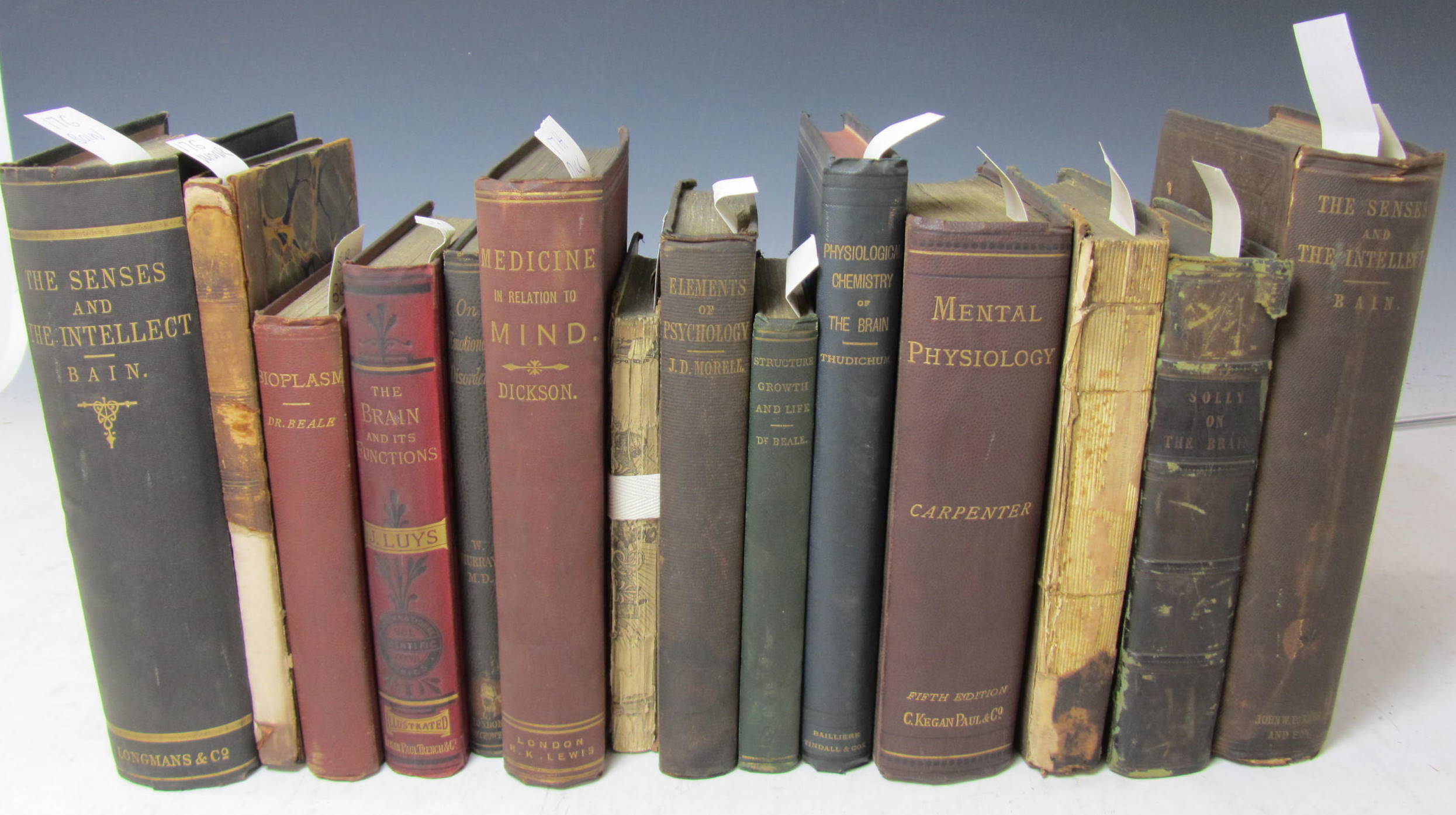 Brain & nervous system, including Bennett, William