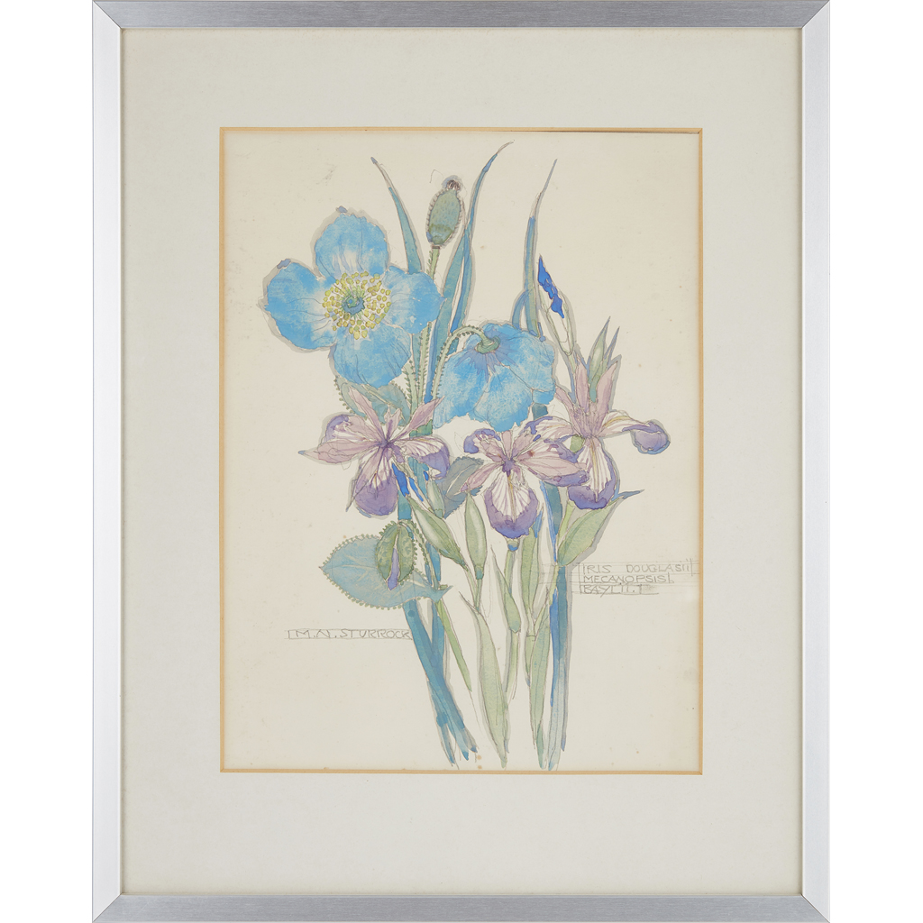 MARY NEWBERY STURROCK (1892-1985)