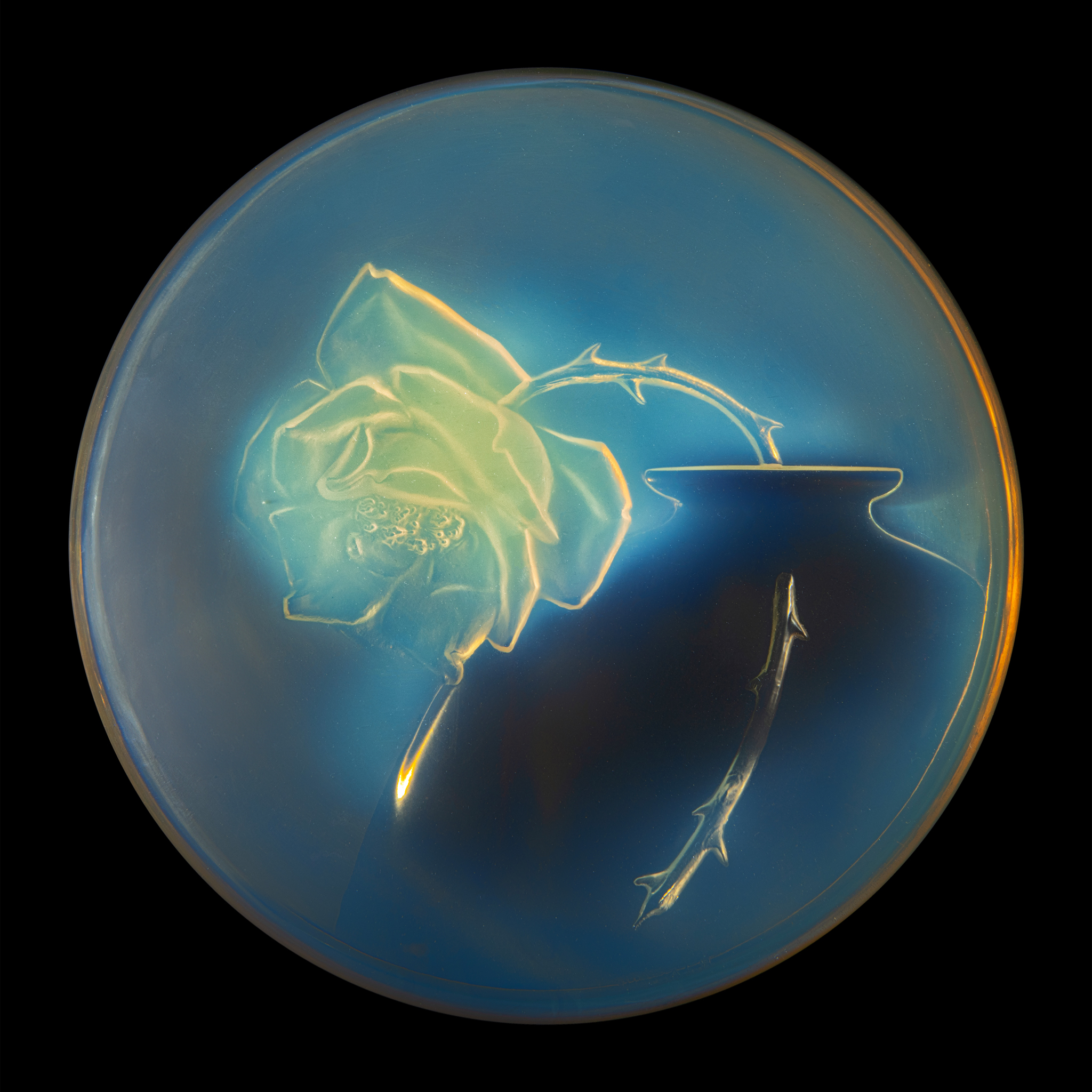 RENÉ LALIQUE (1860-1945)