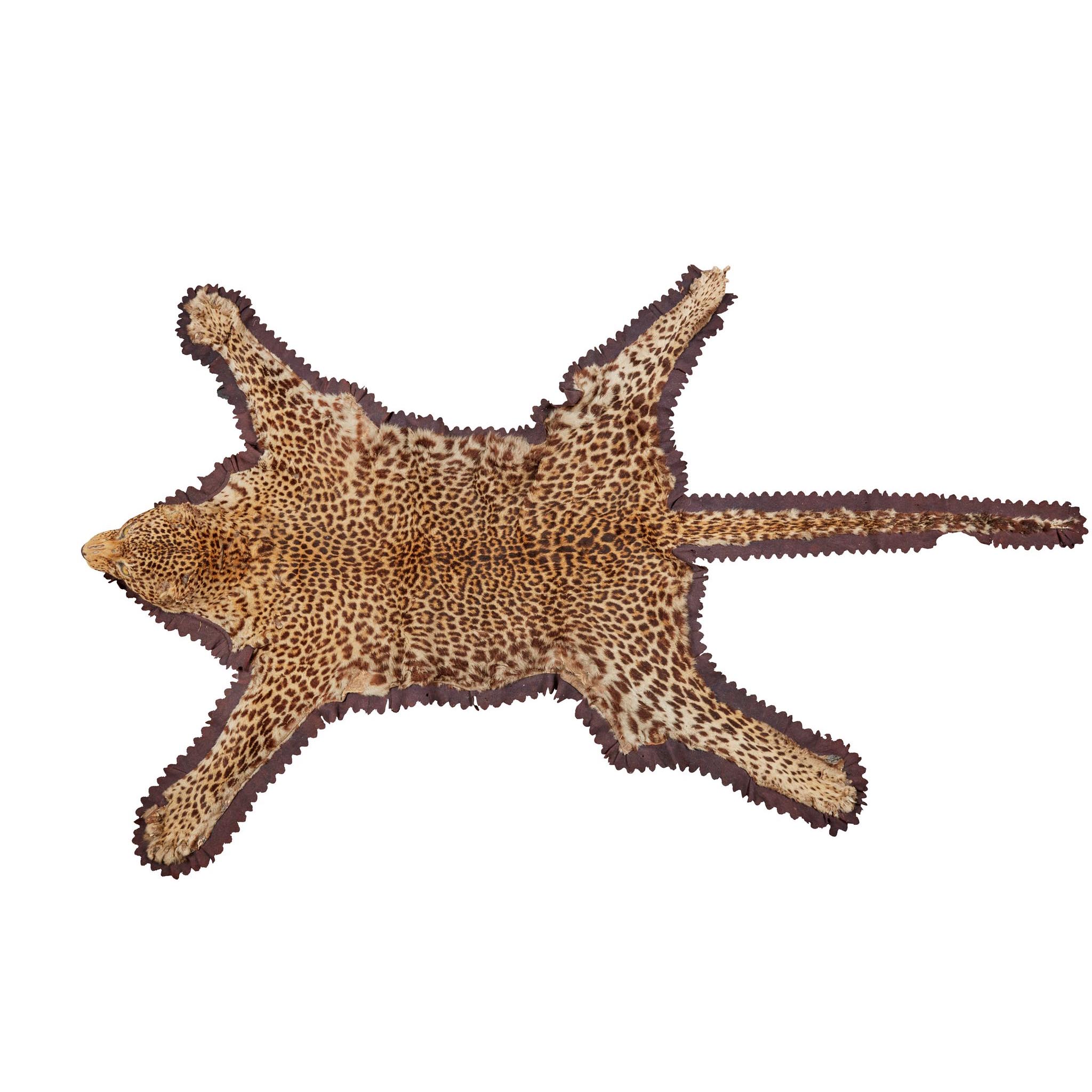 LEOPARD SKIN TAXIDERMY BY ROWLAND WARD