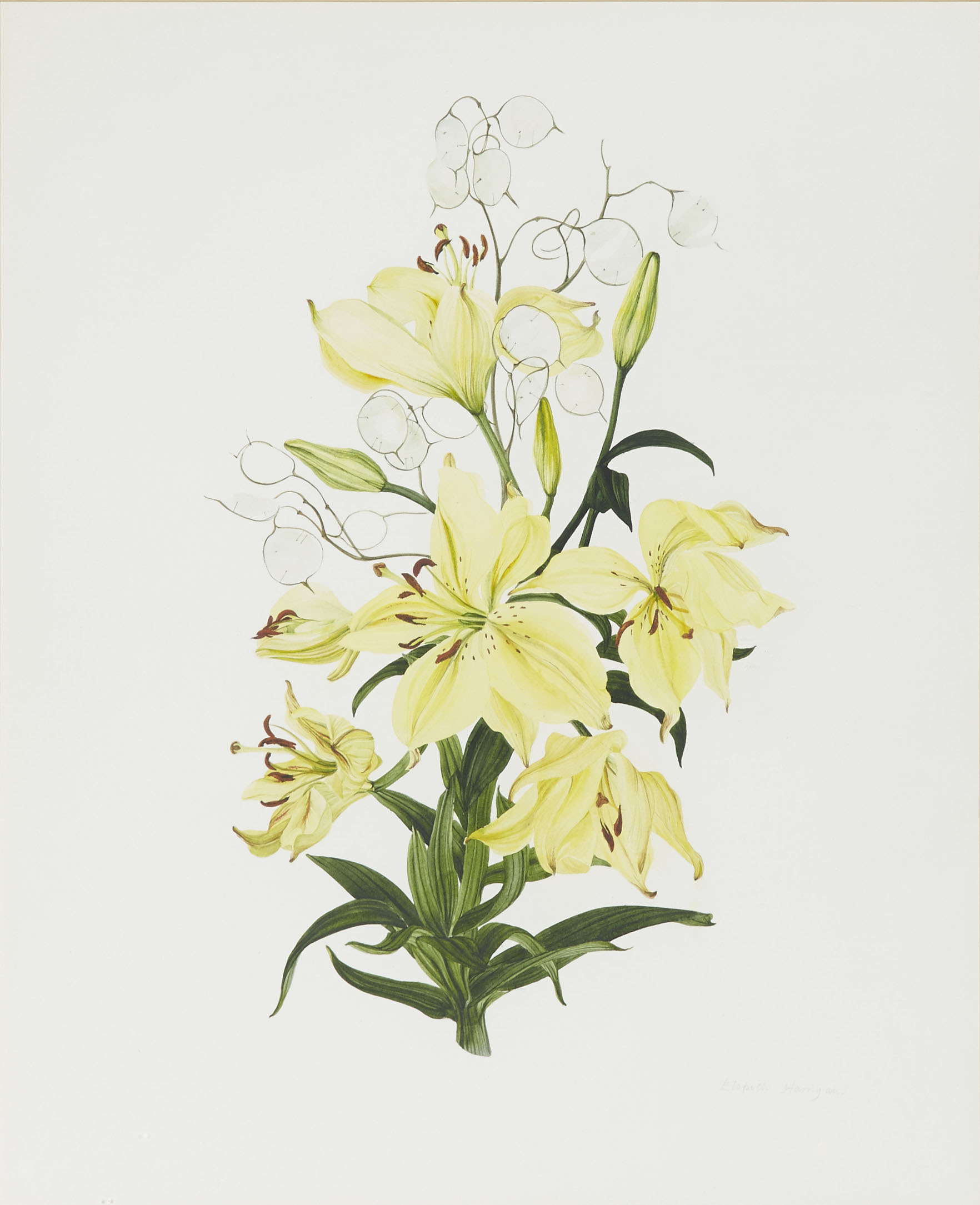 ELSPETH HARRIGAN (SCOTTISH 1938-1999)