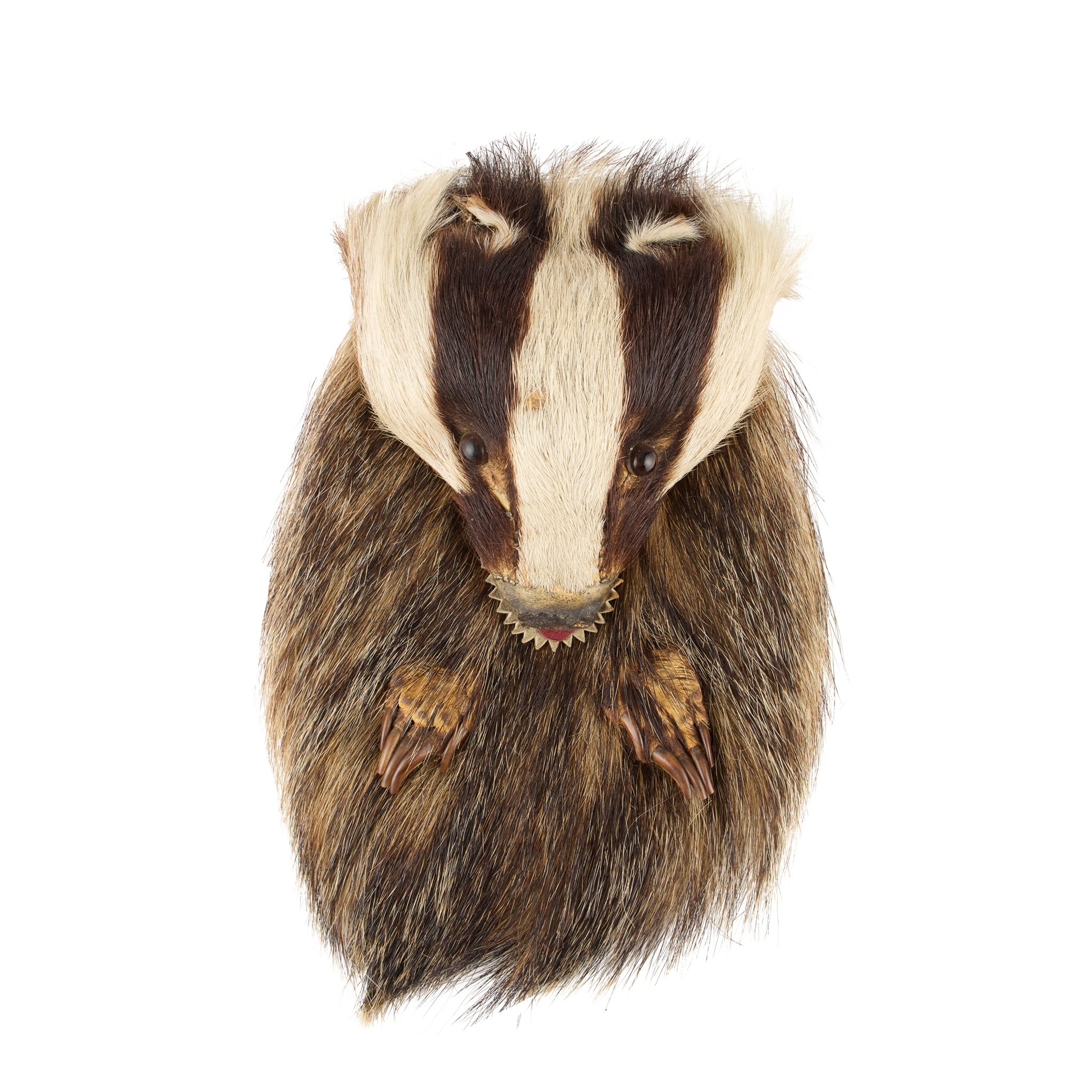 AN EARLY 20TH CENTURY BADGER SPORRAN