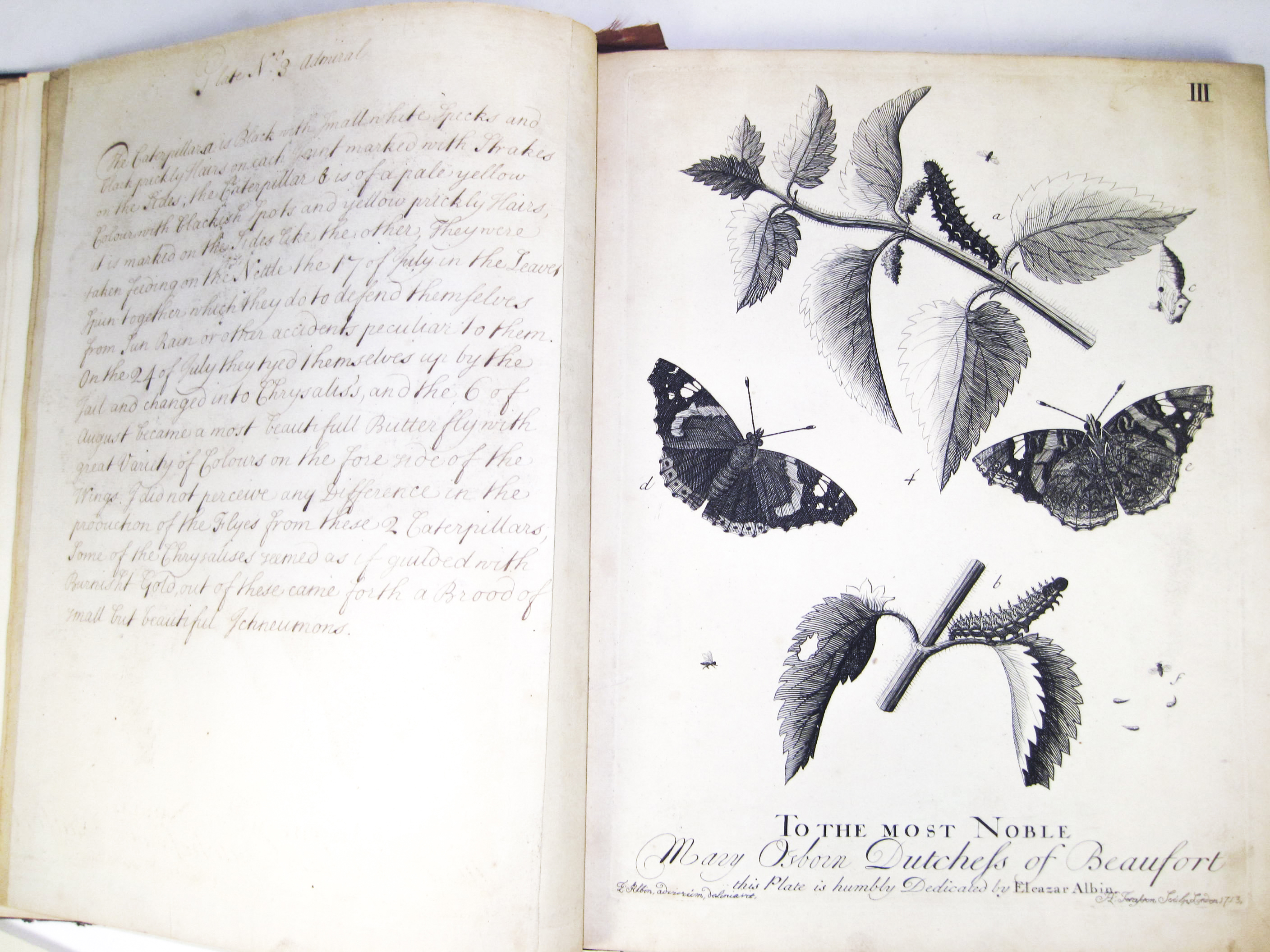 Albin, Eleazar - Autograph text