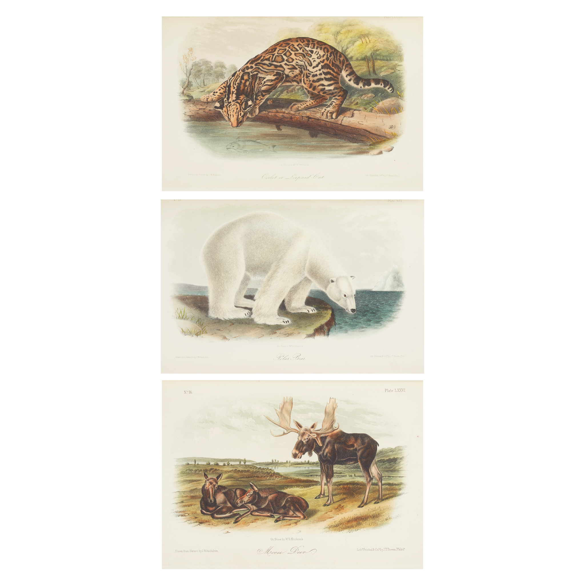 Audubon, John James & The Reverend John Bachman