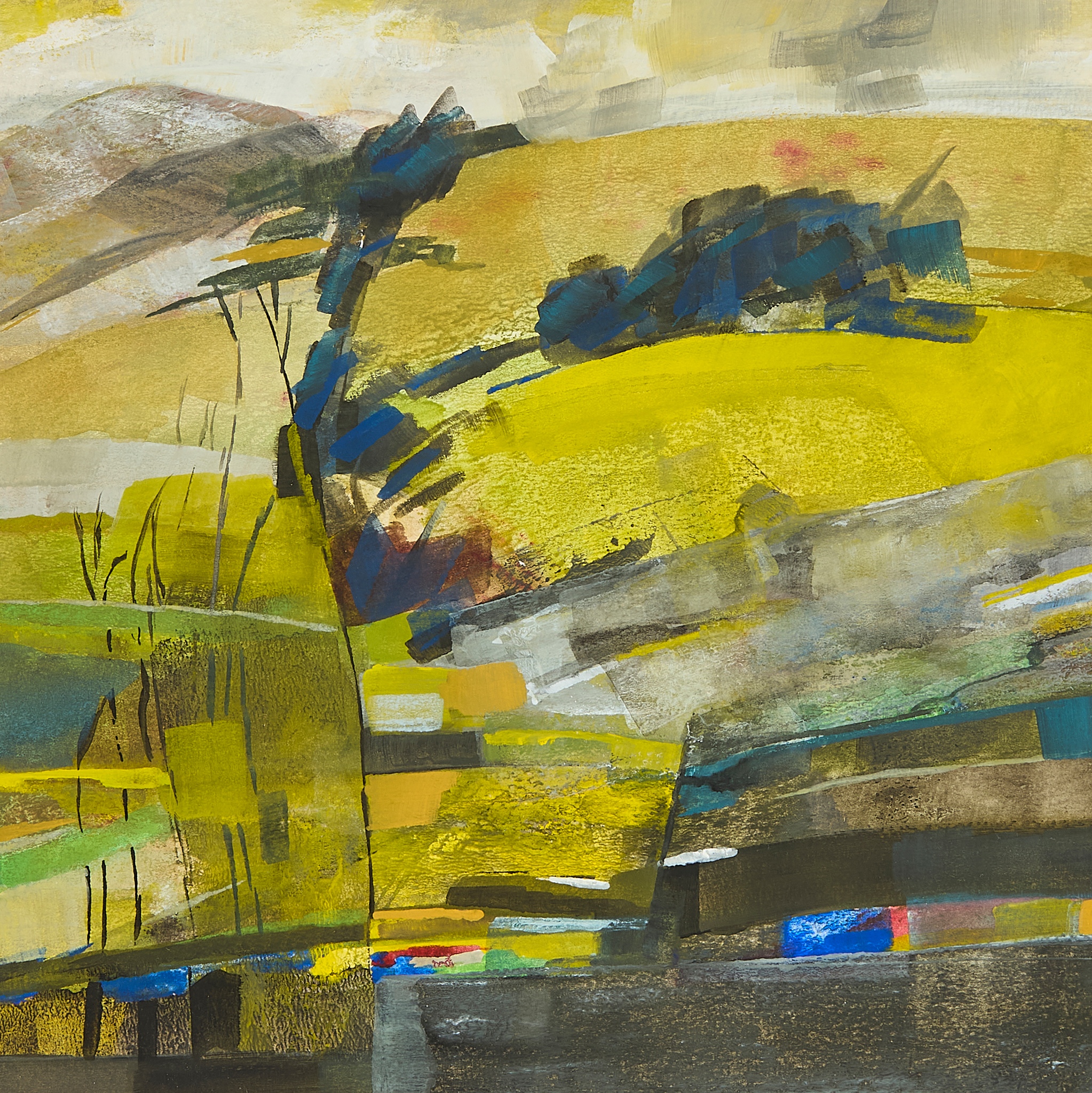 DOUGLAS DAVIES R.S.W. (SCOTTISH 1946-)