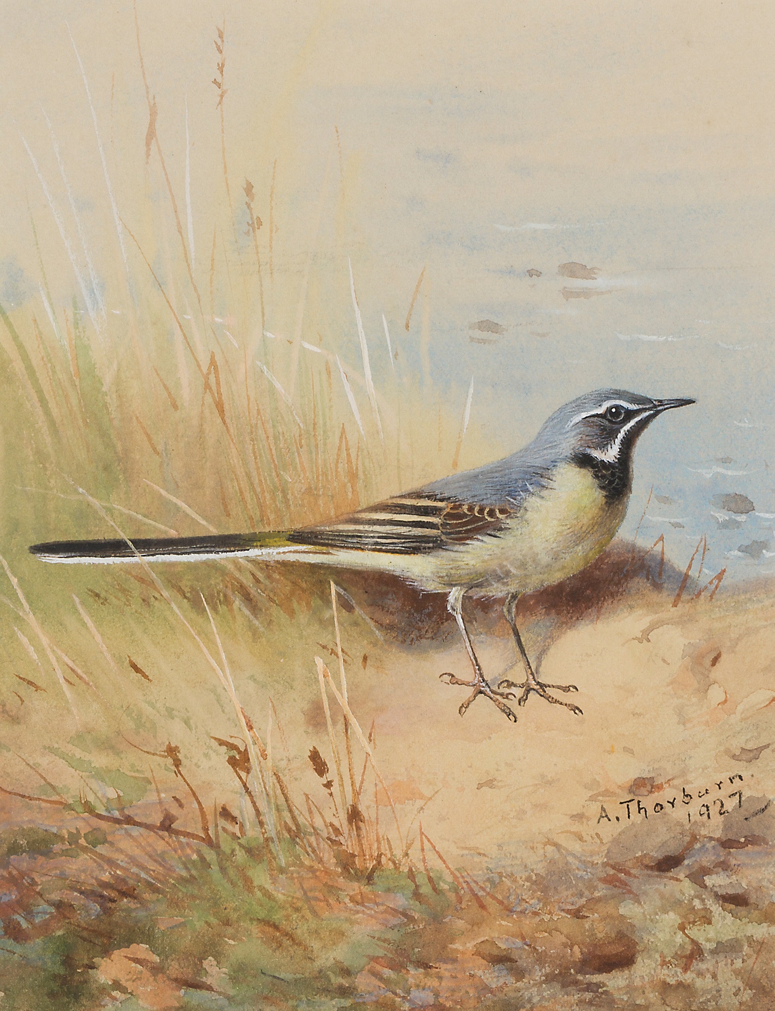 ARCHIBALD THORBURN (SCOTTISH 1860-1935)