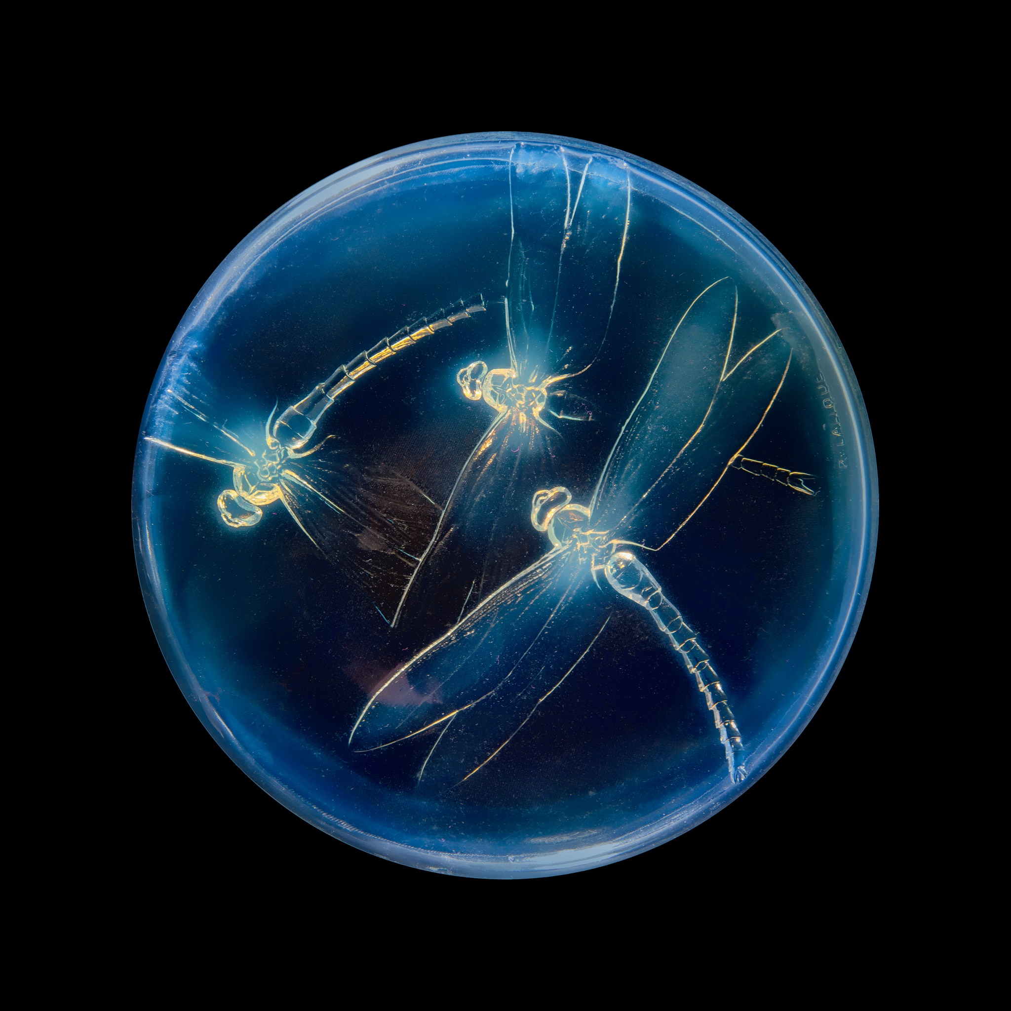 René Lalique (French 1860-1945)